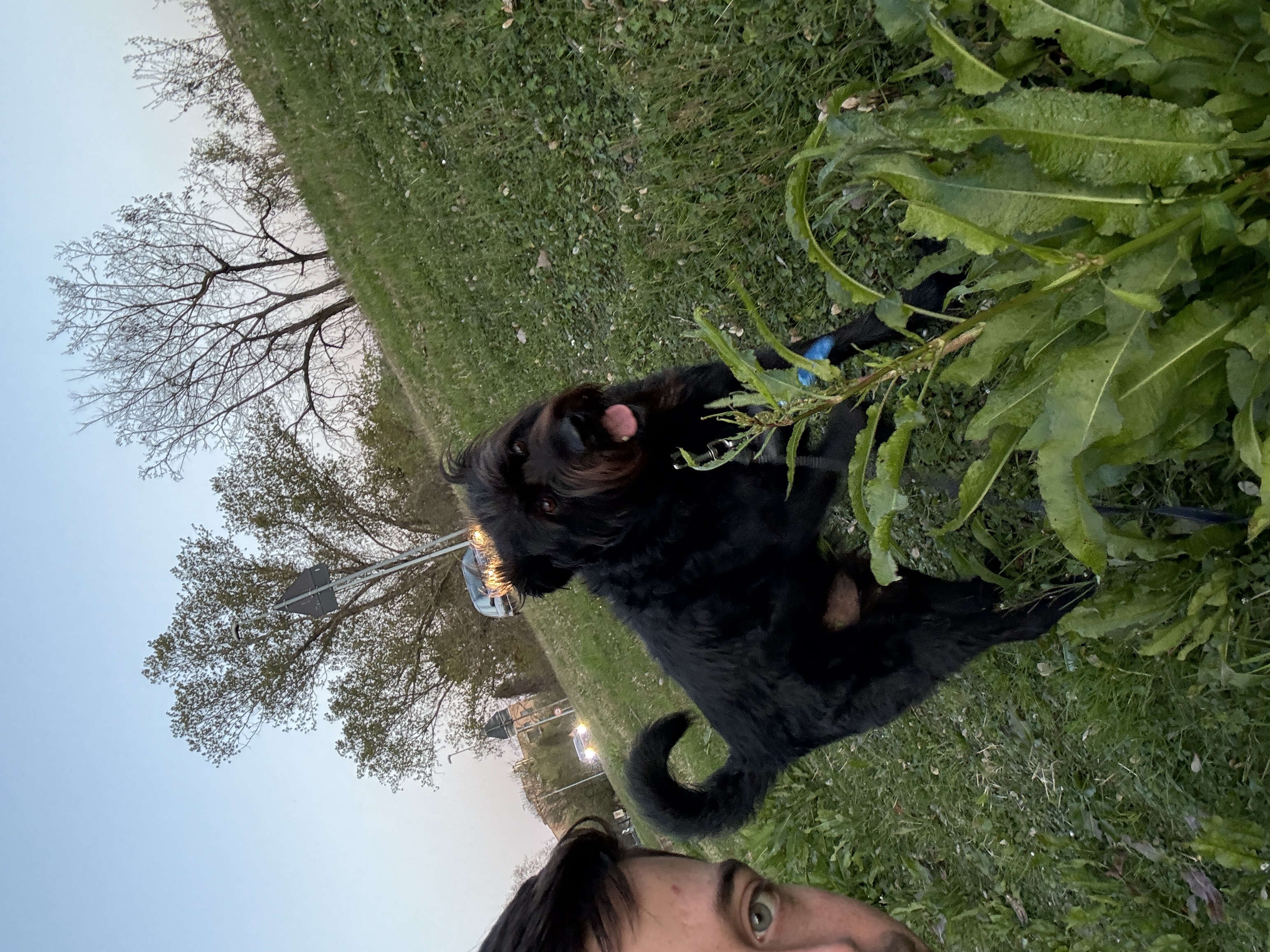image-15
