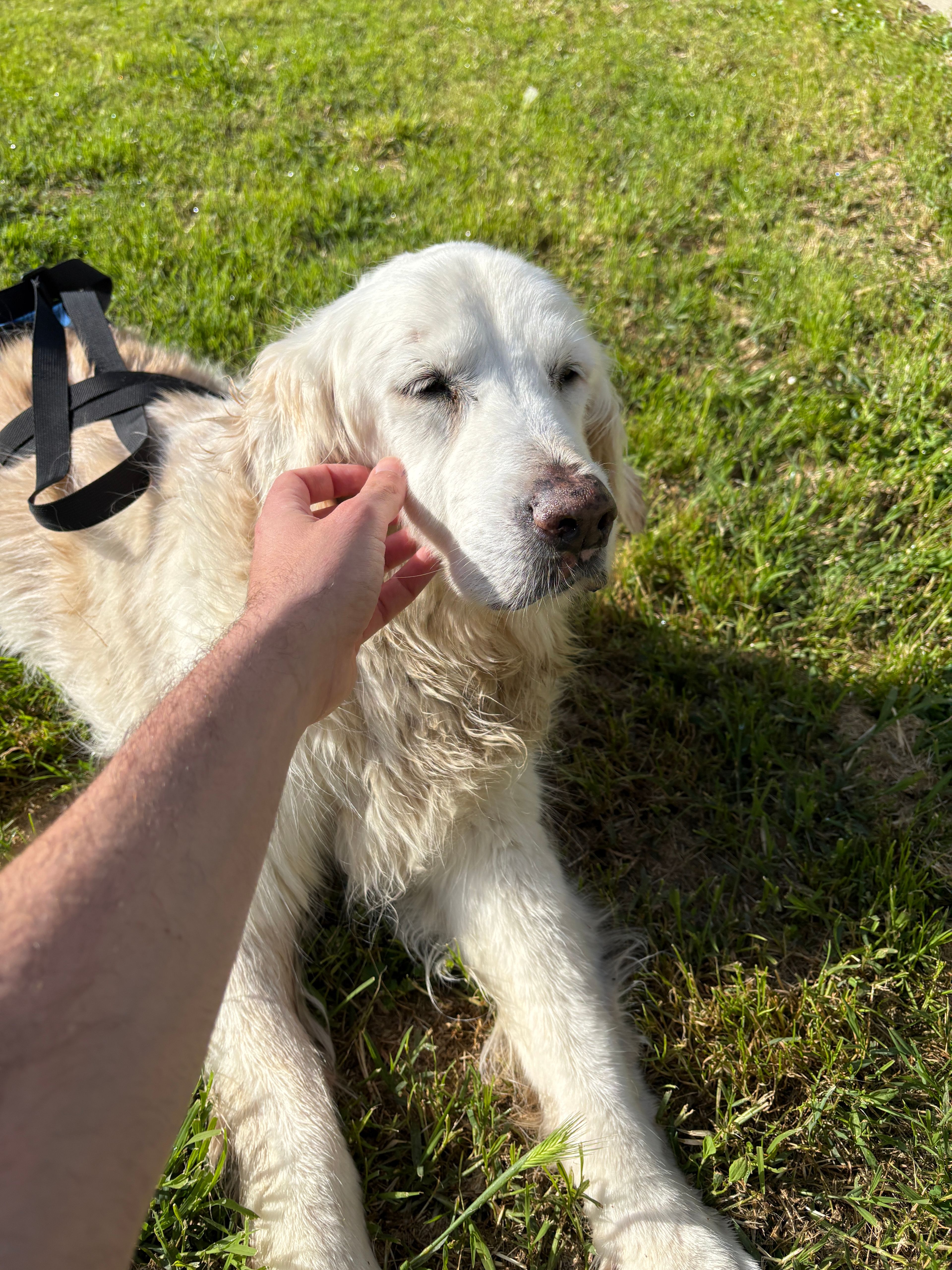 image-5