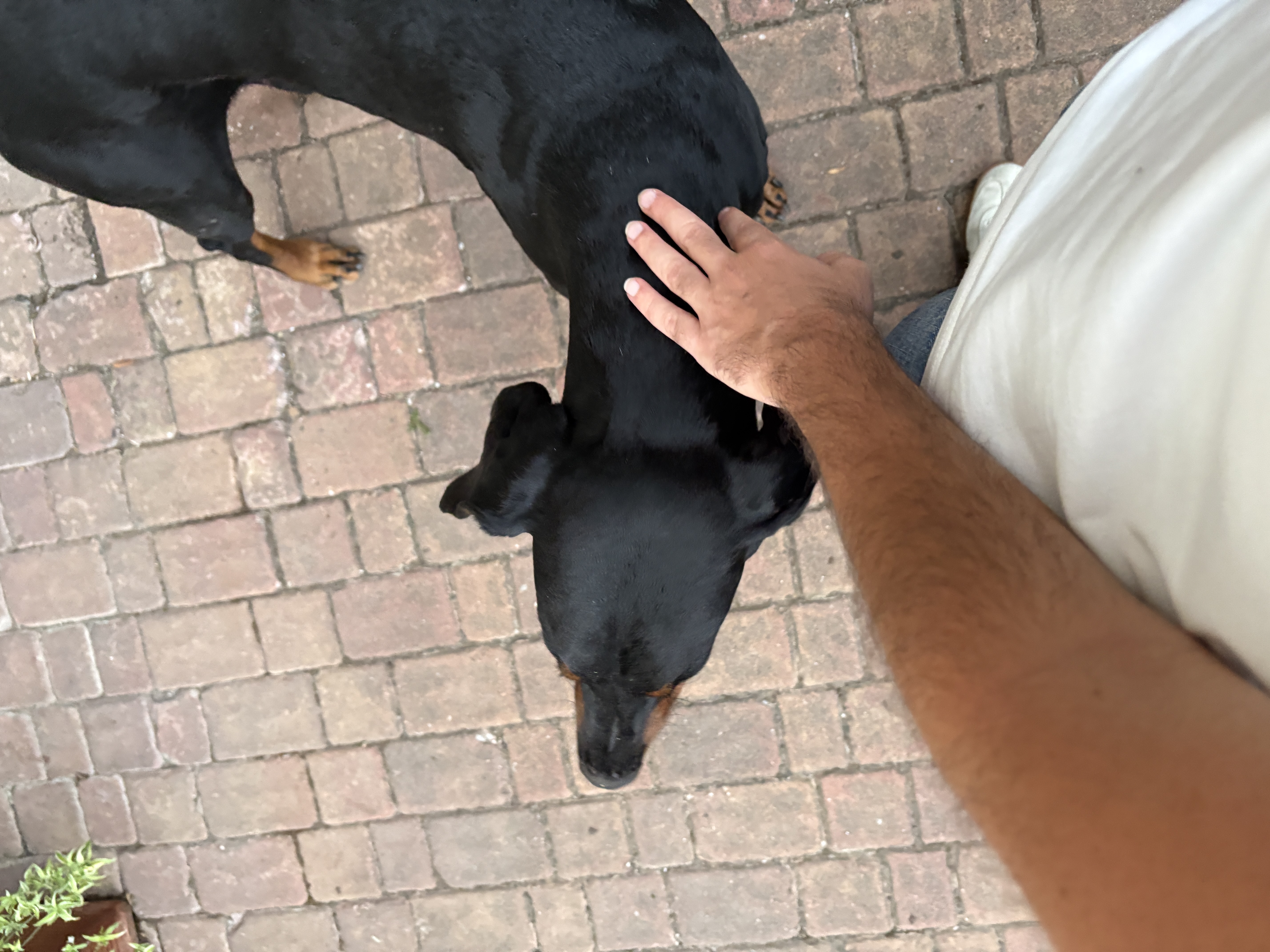 image-10