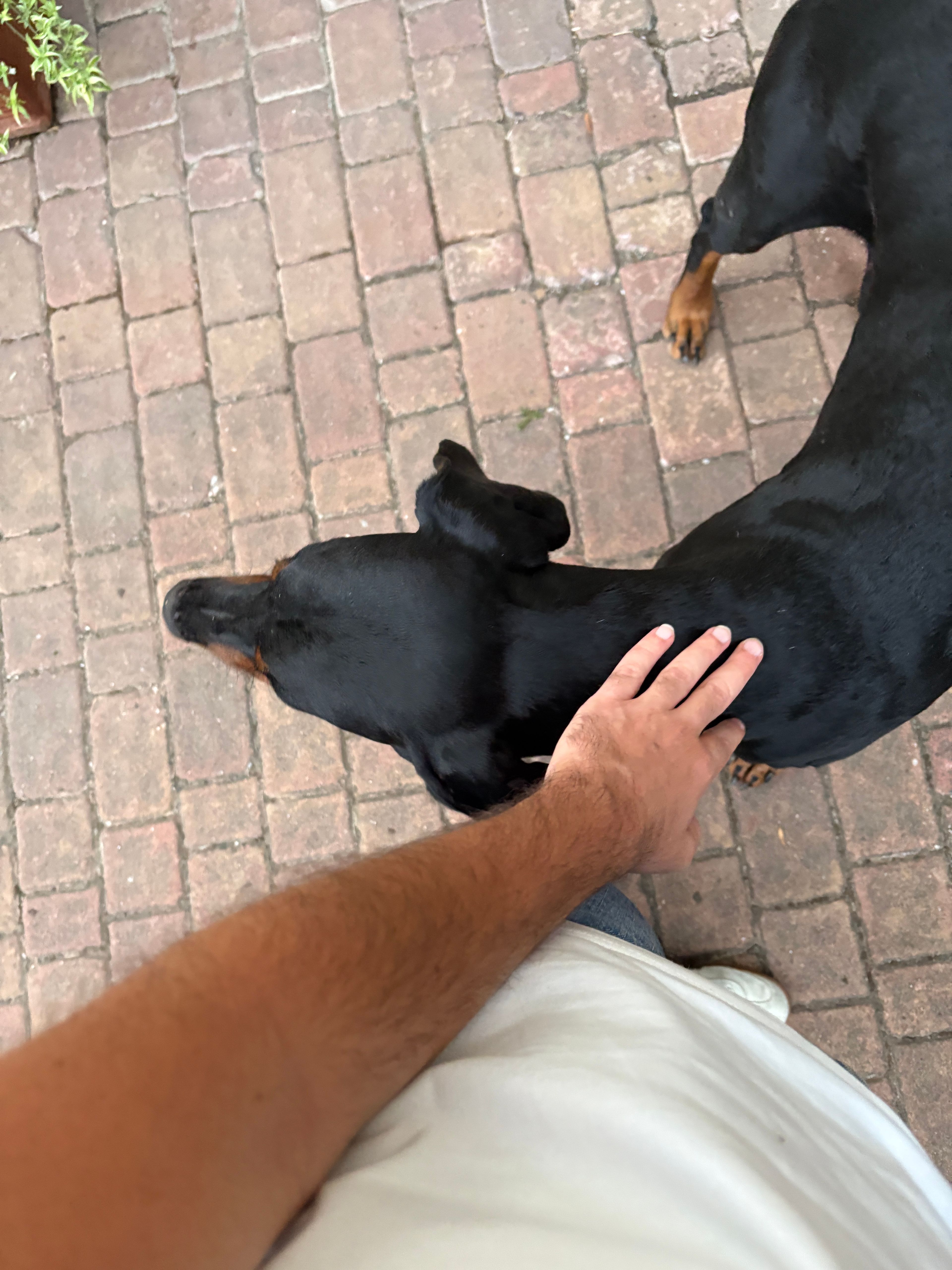 image-10