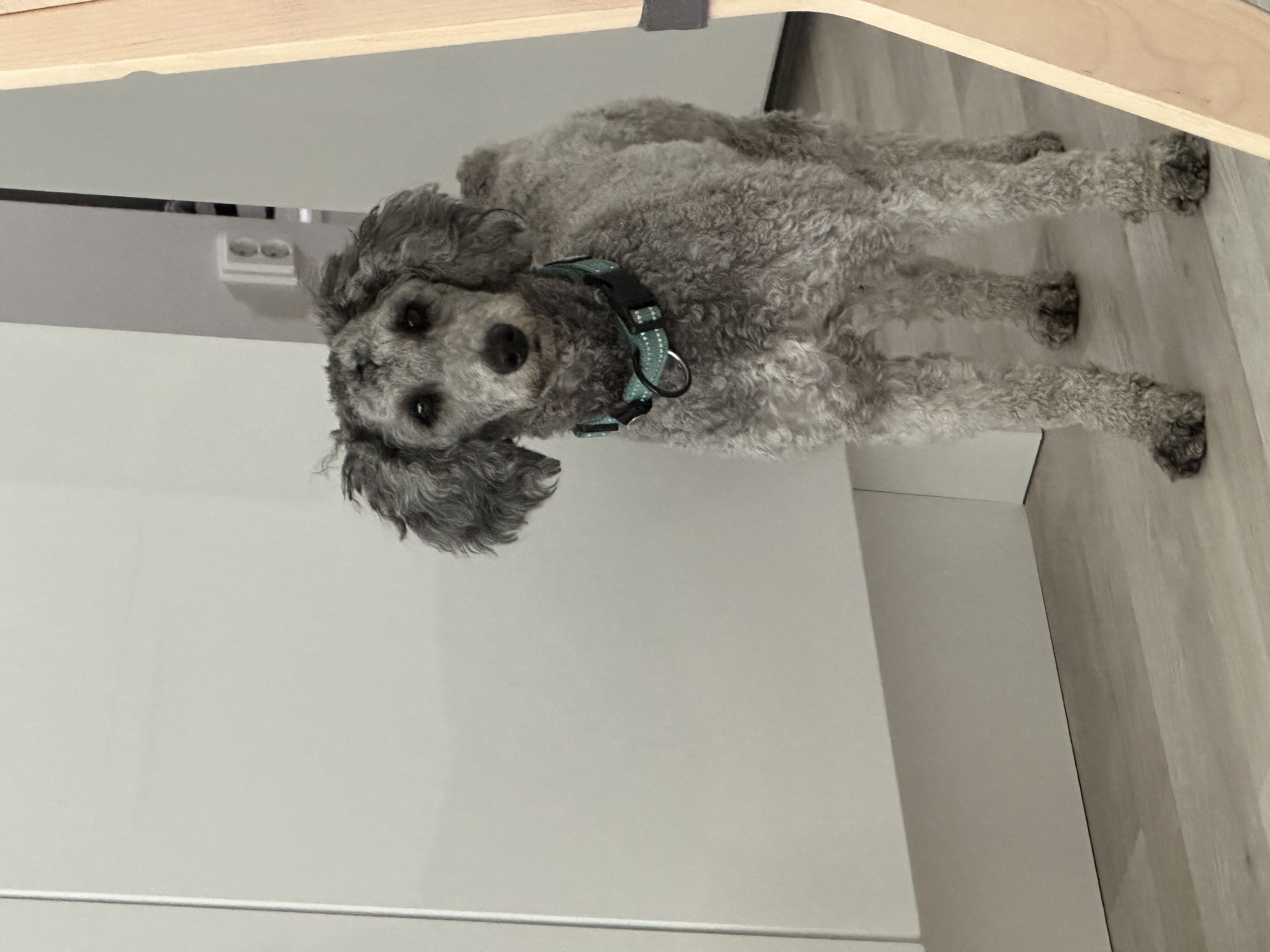image-16
