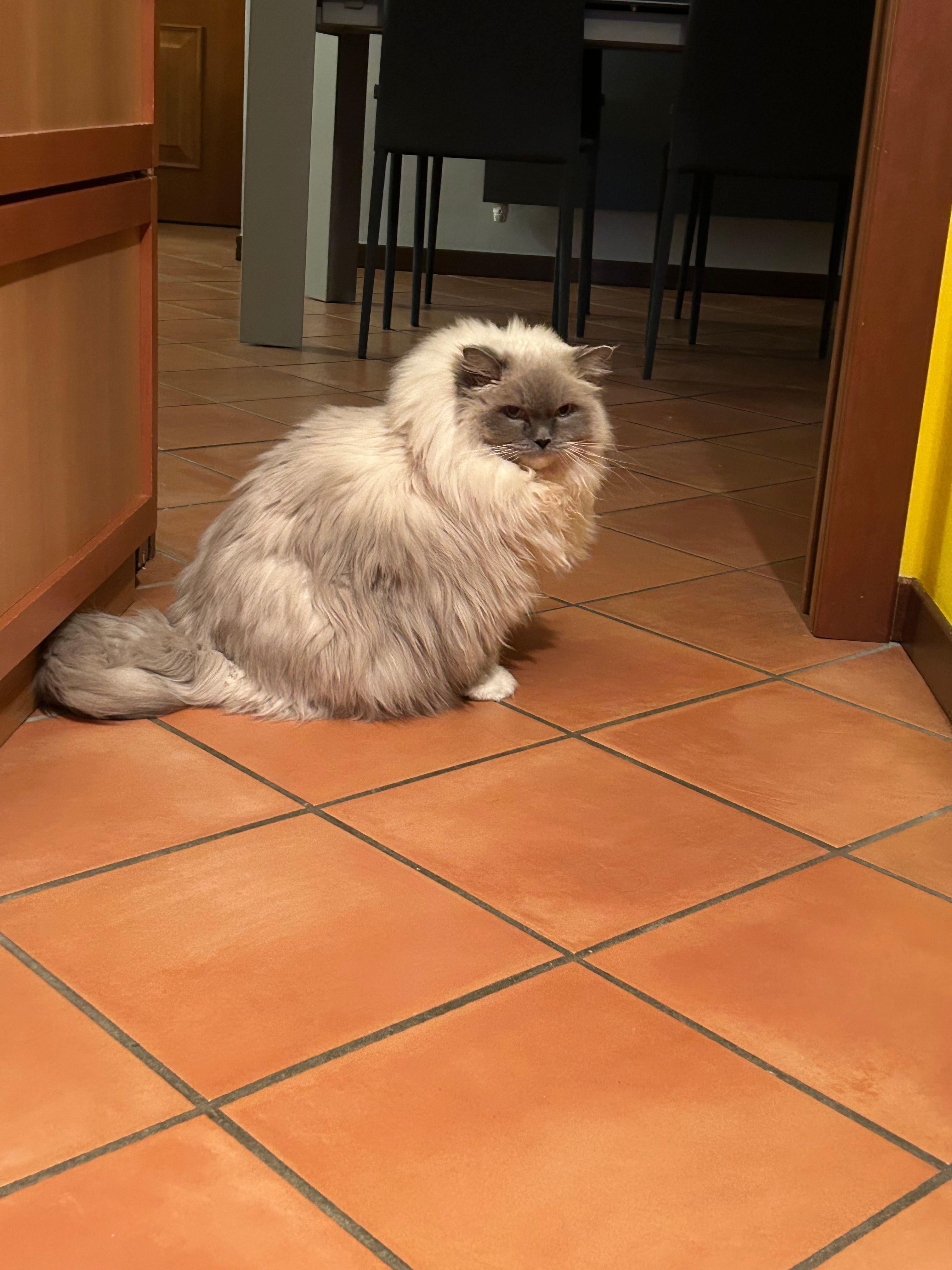 image-7