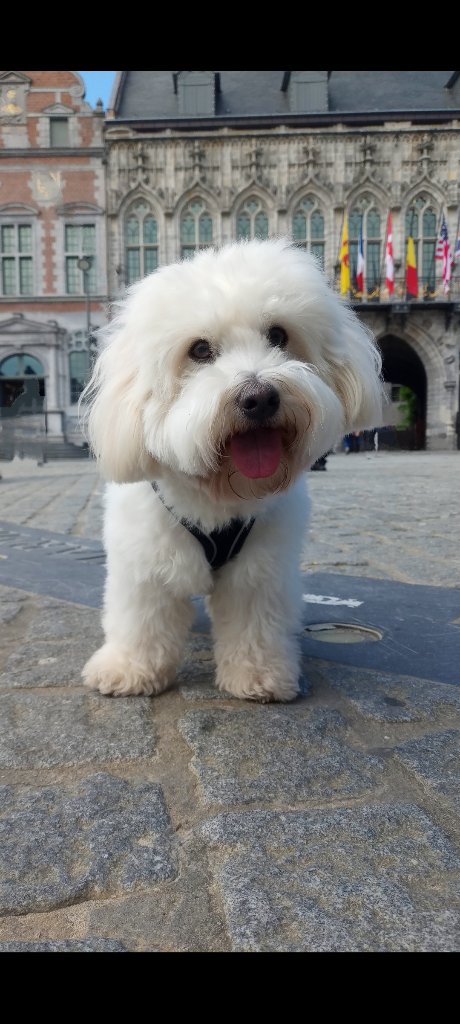 Flynn