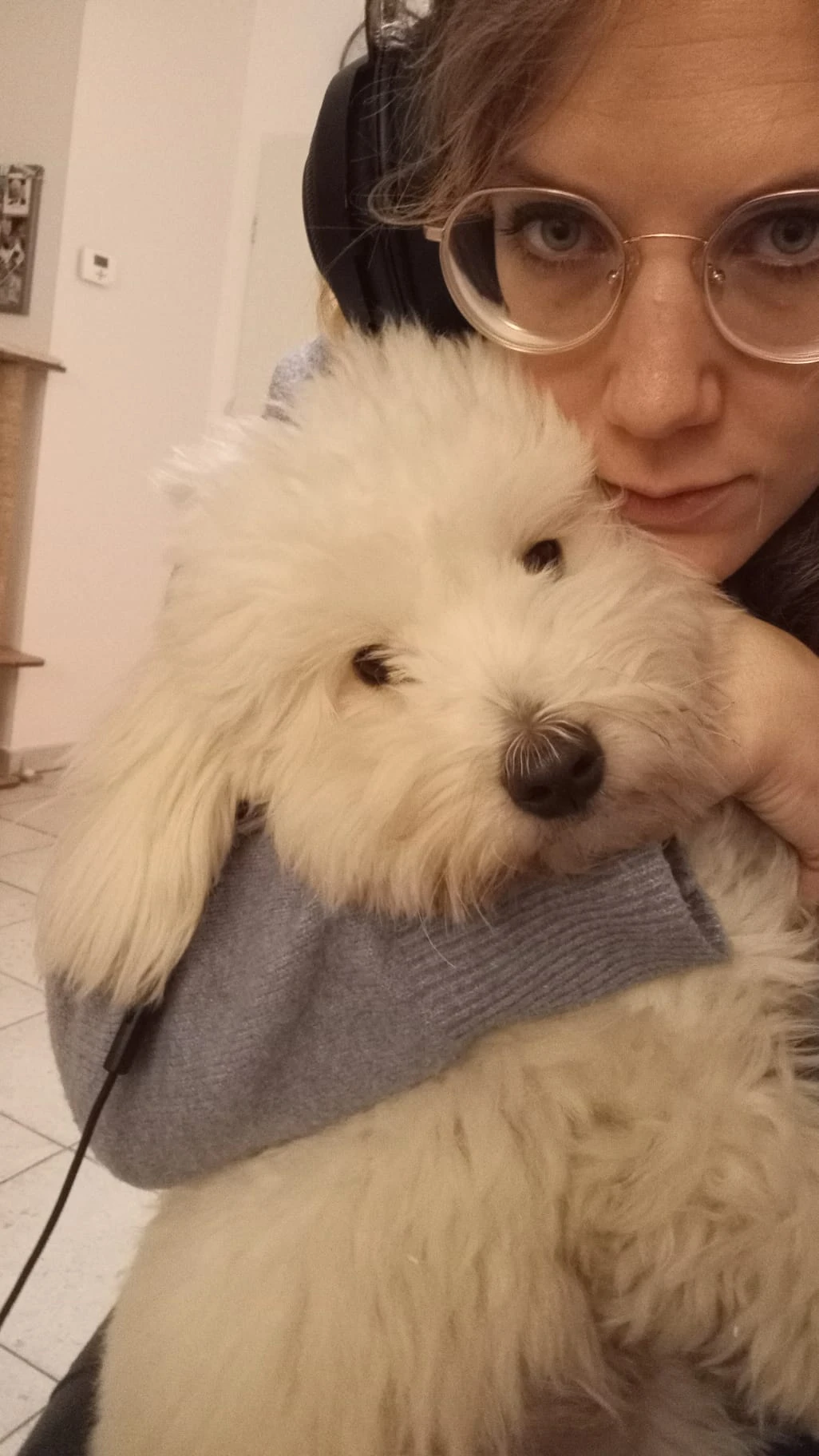 image-8
