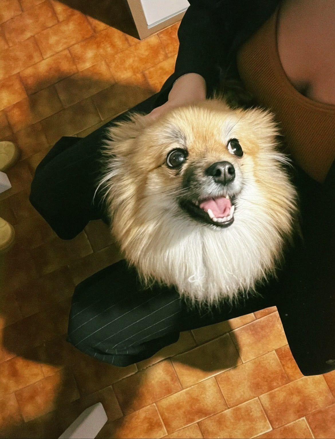 image-8