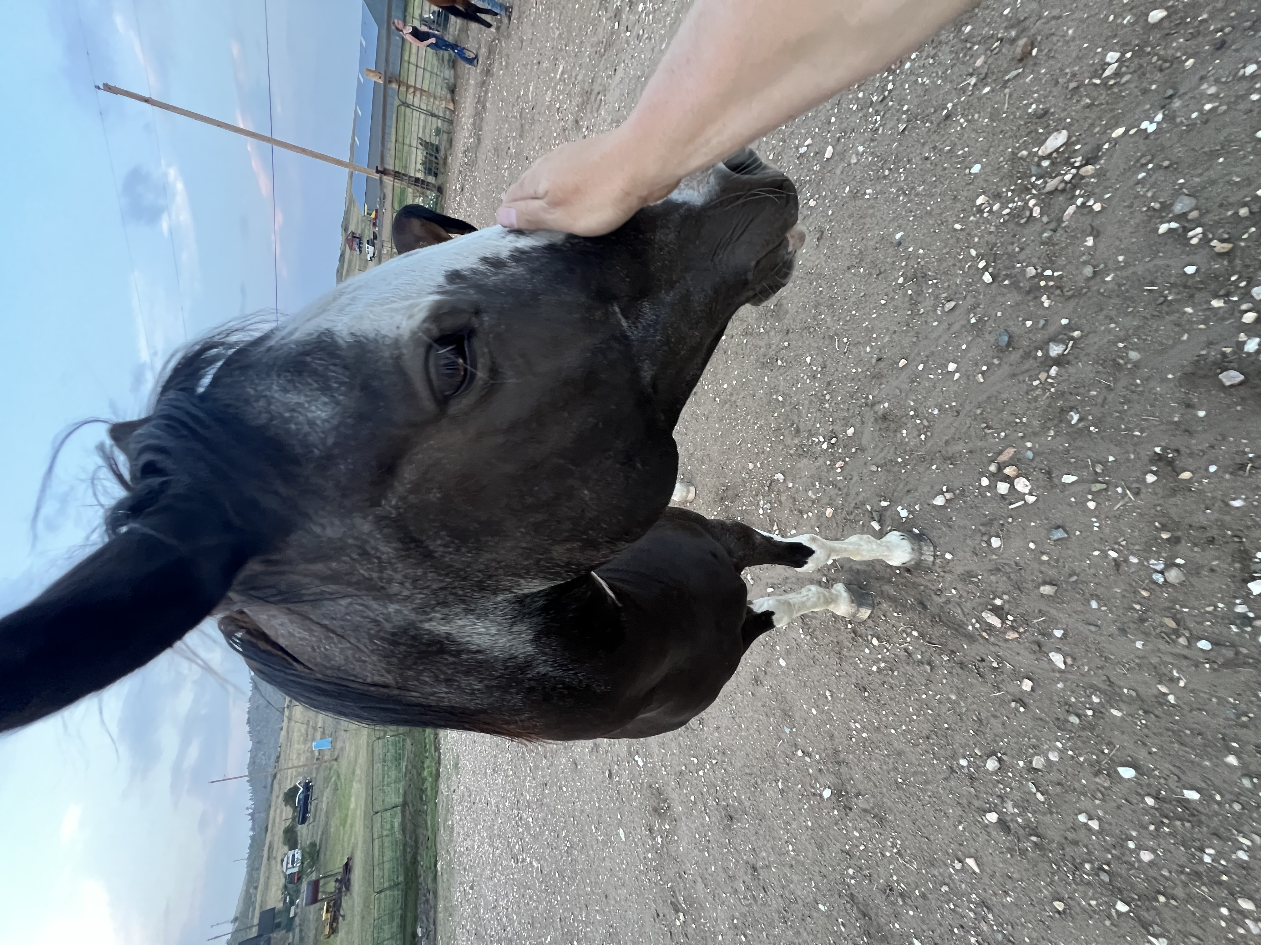image-7