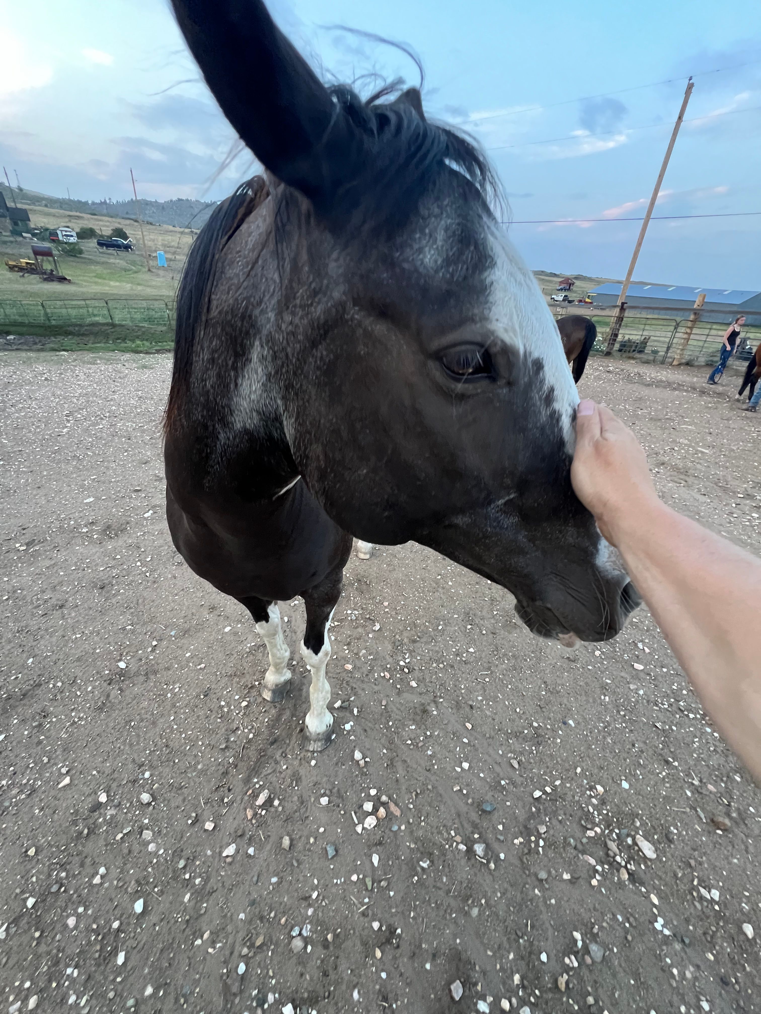 image-7