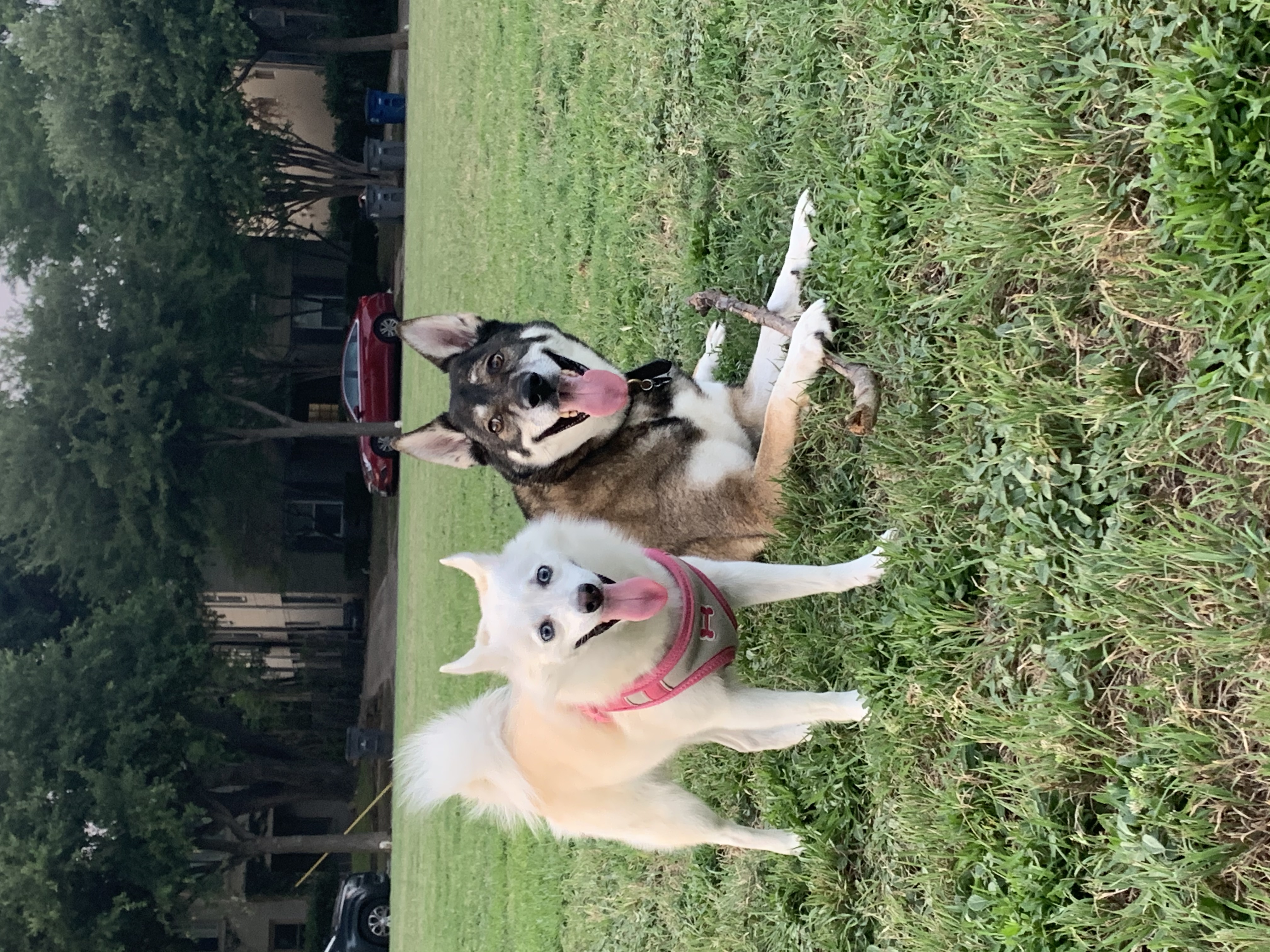 image-5