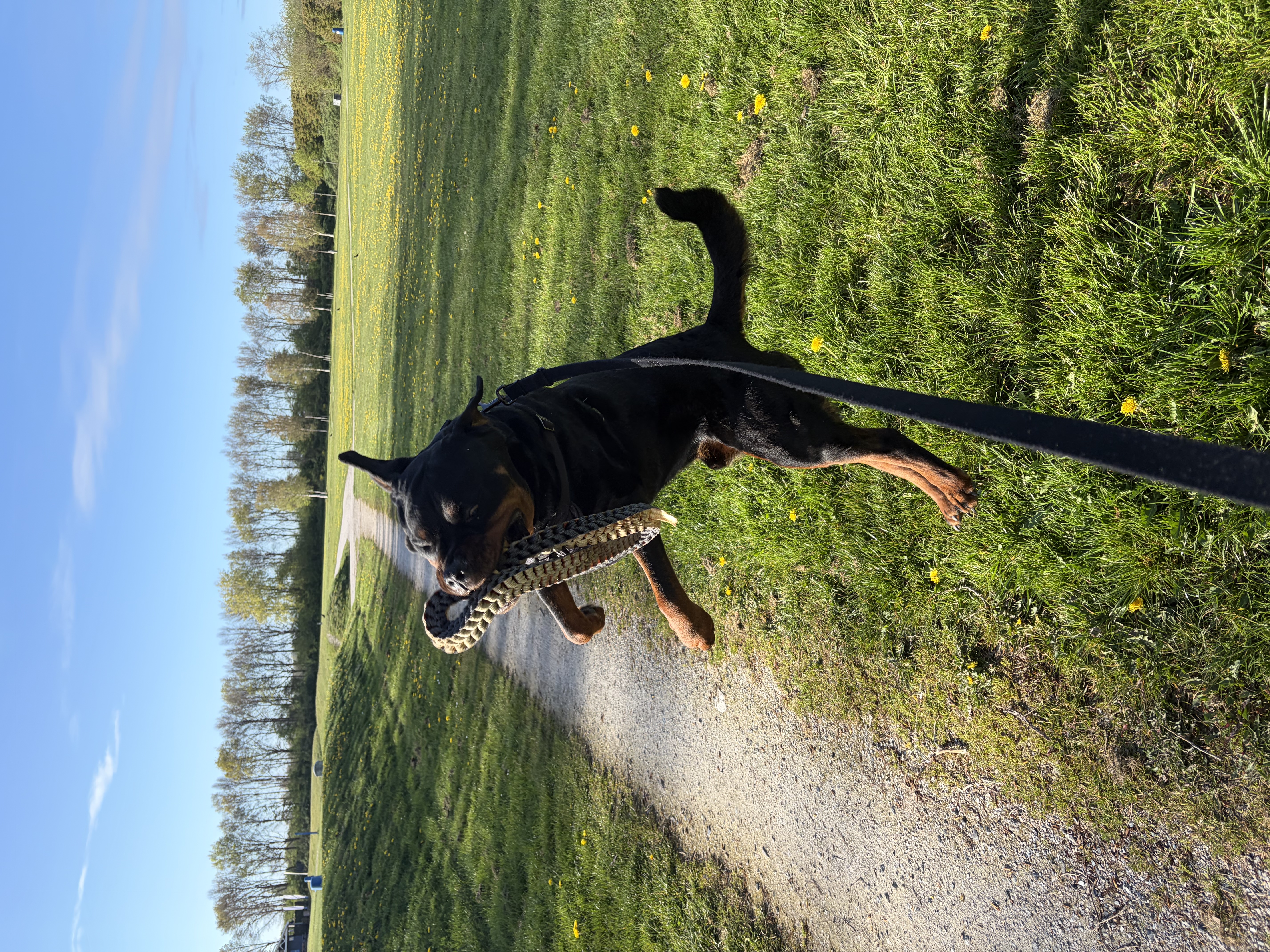 image-16