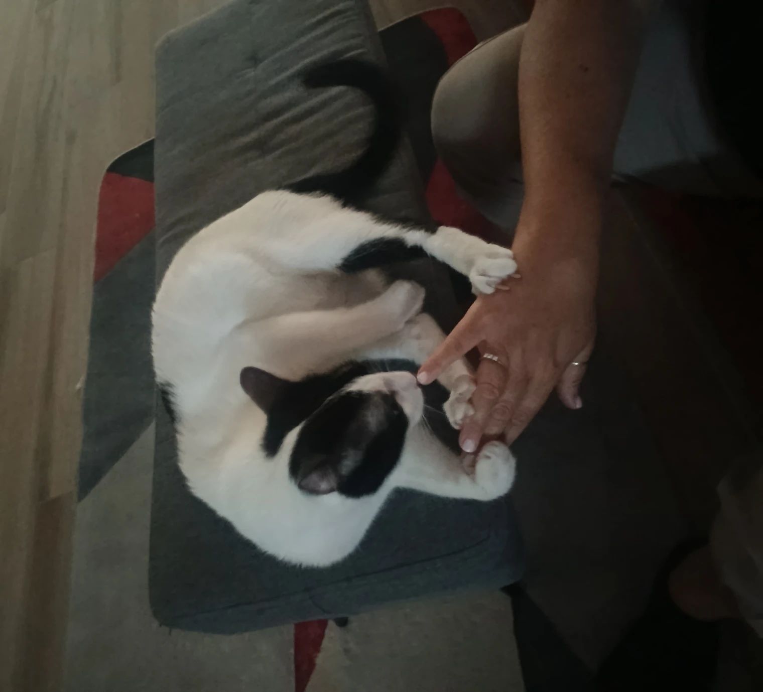 image-6
