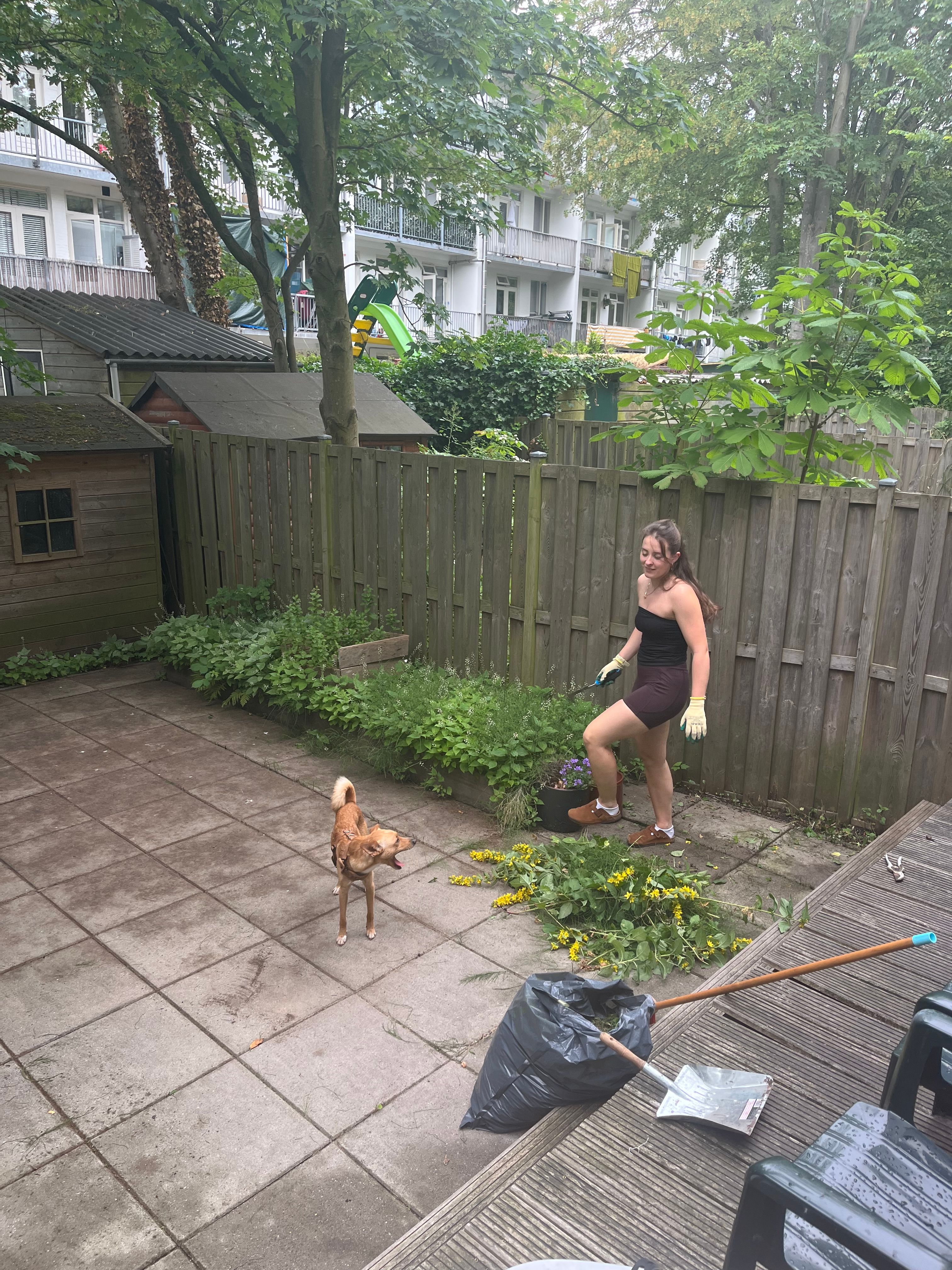 image-14