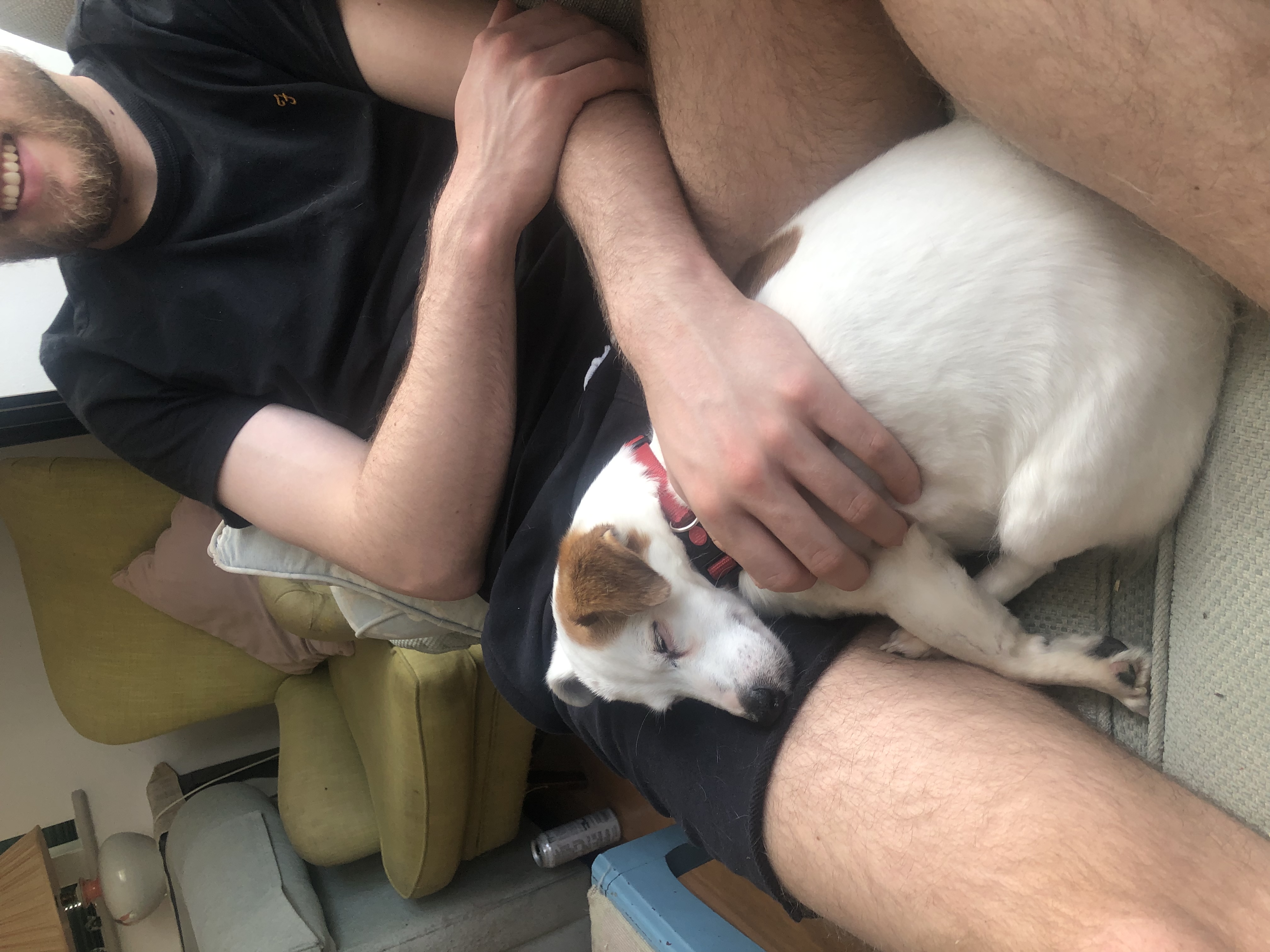 image-7