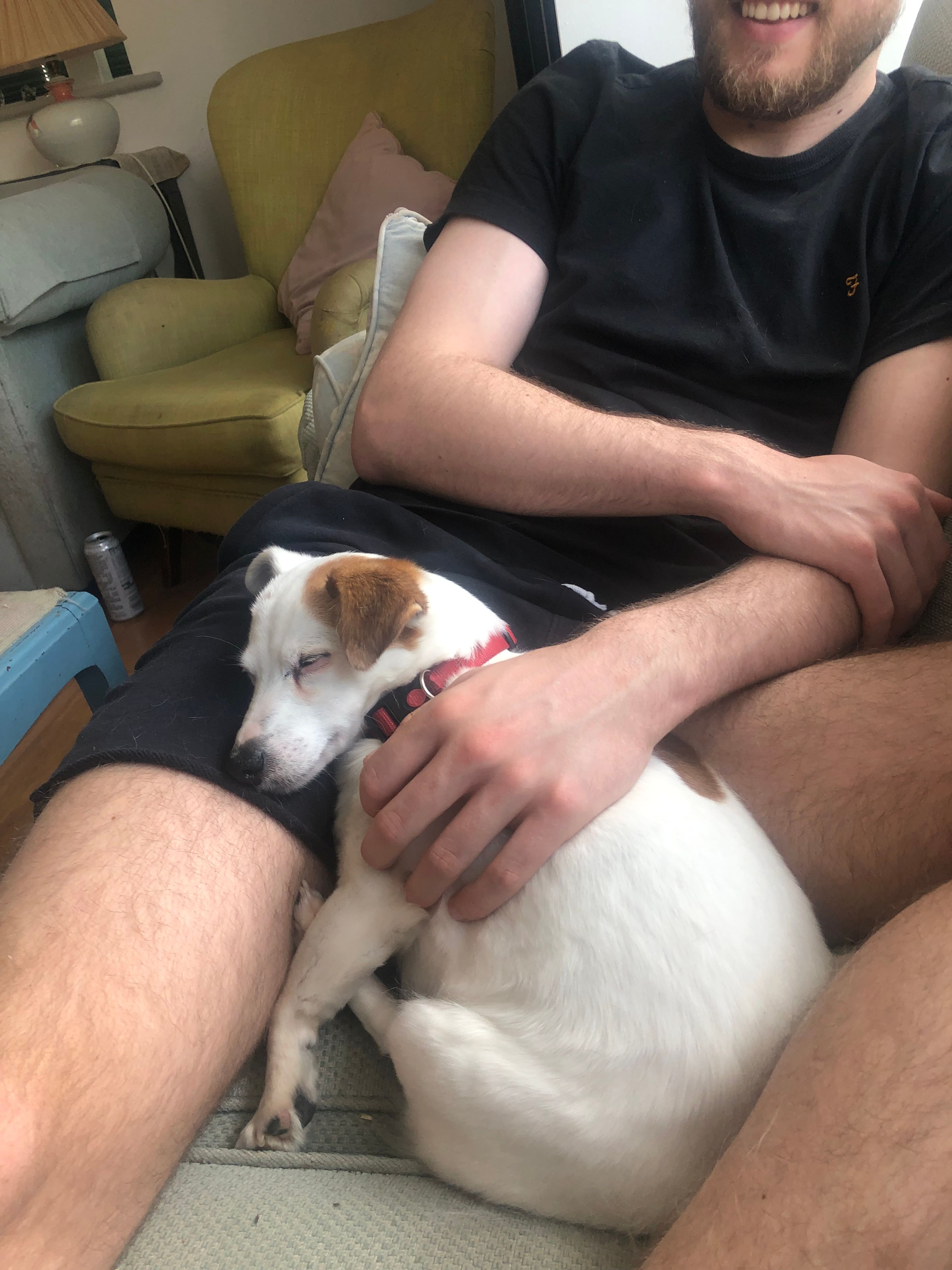 image-7