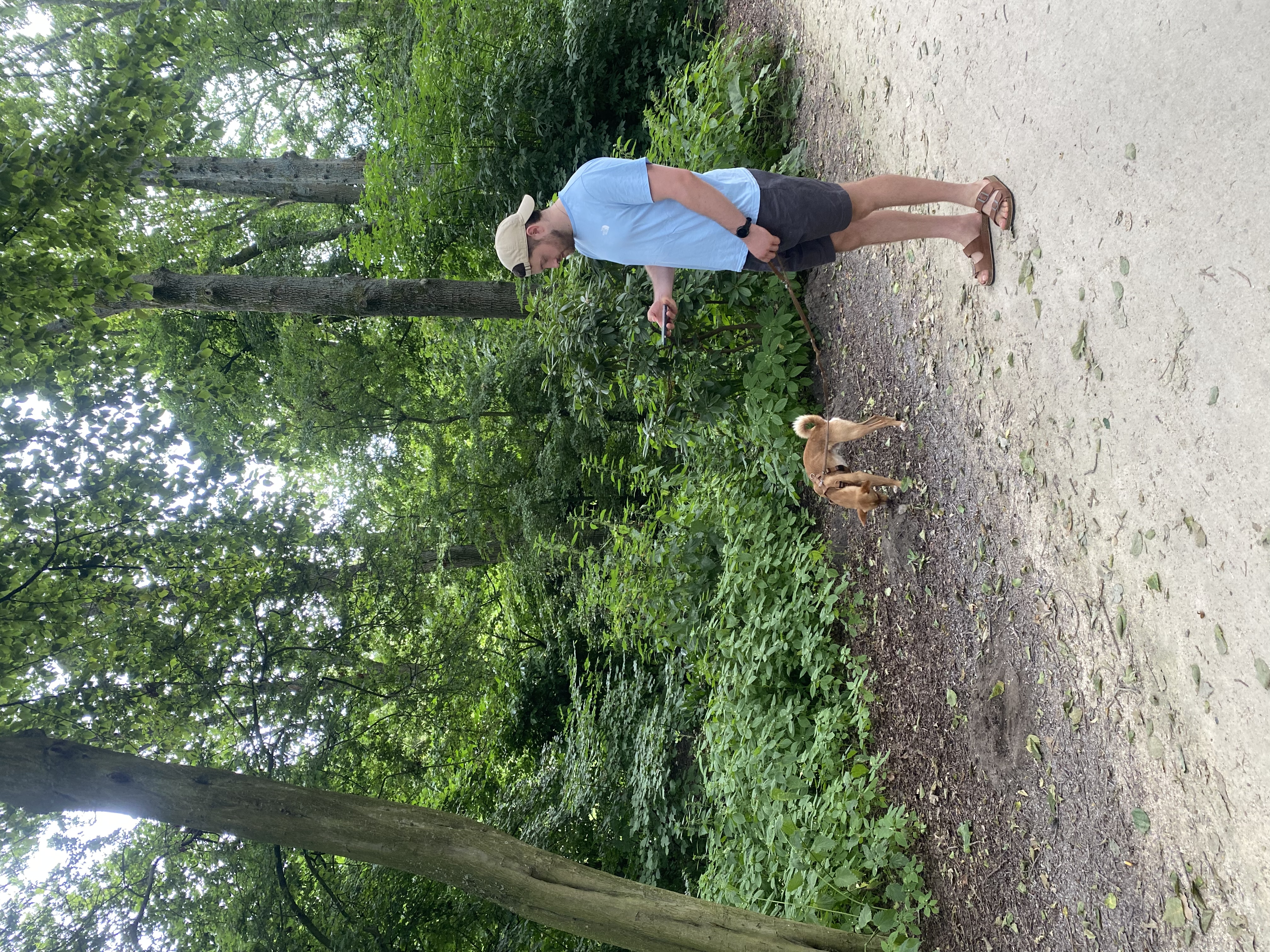 image-5
