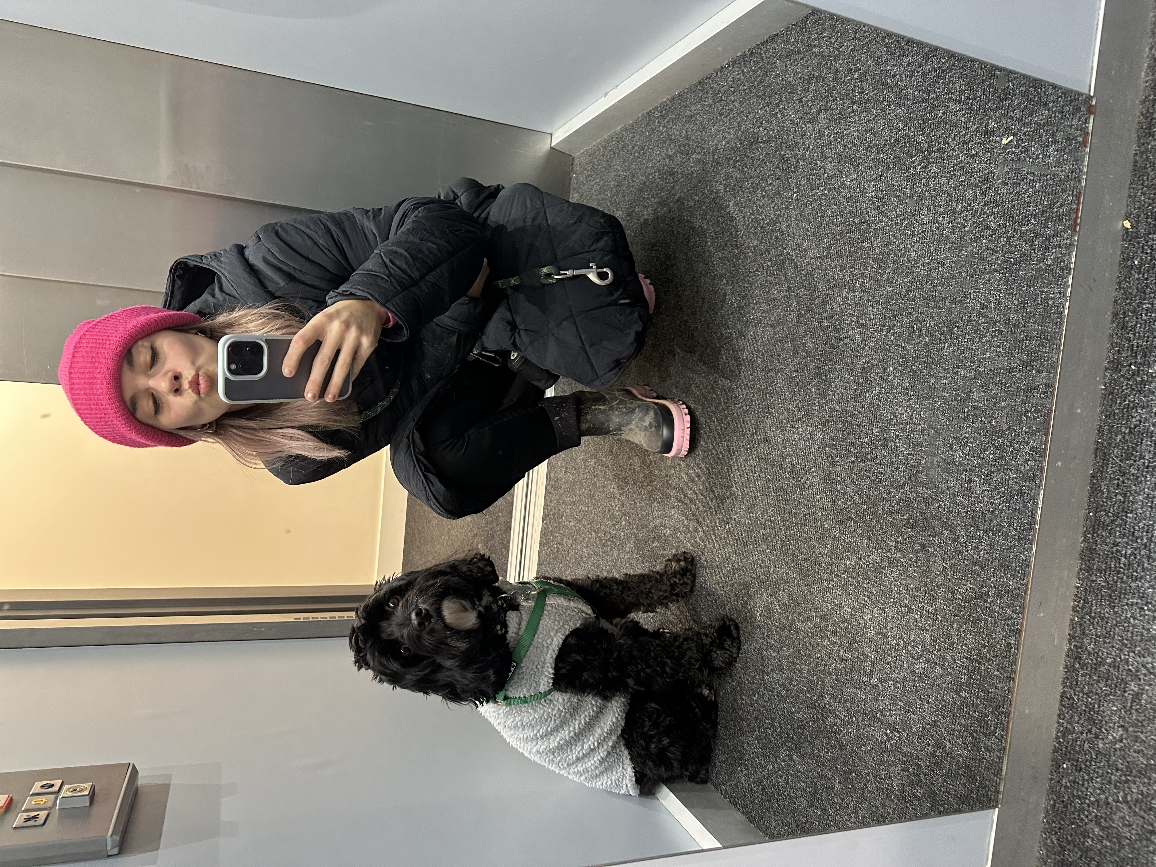 image-14