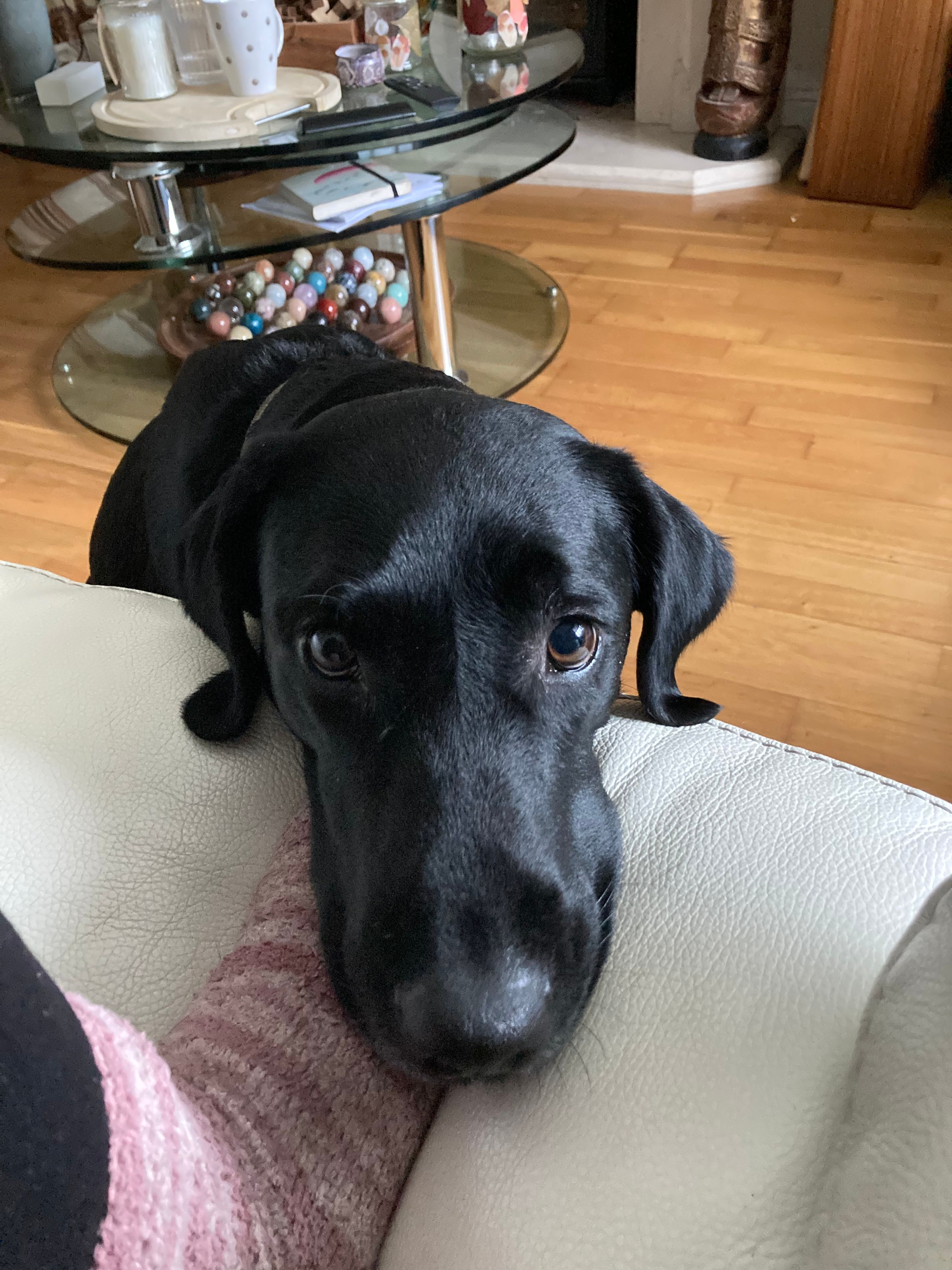 image-7
