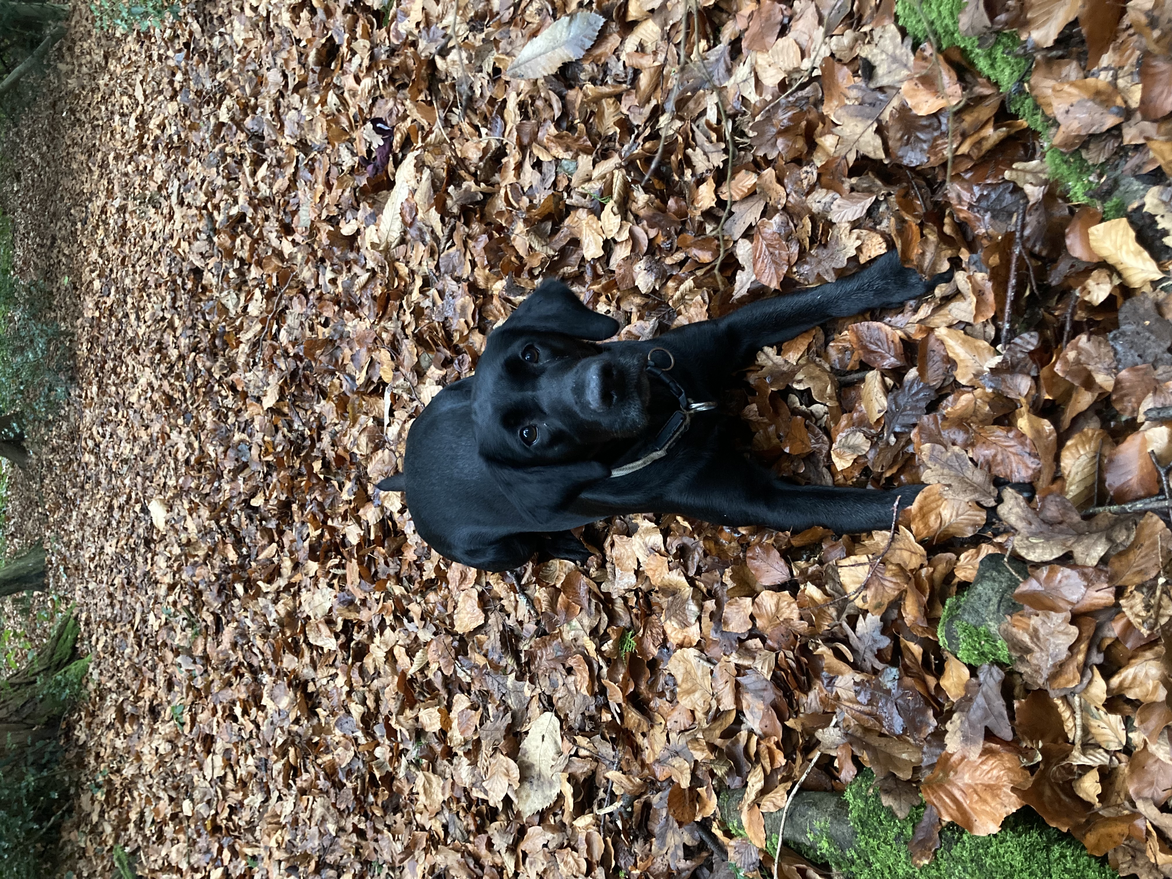 image-8
