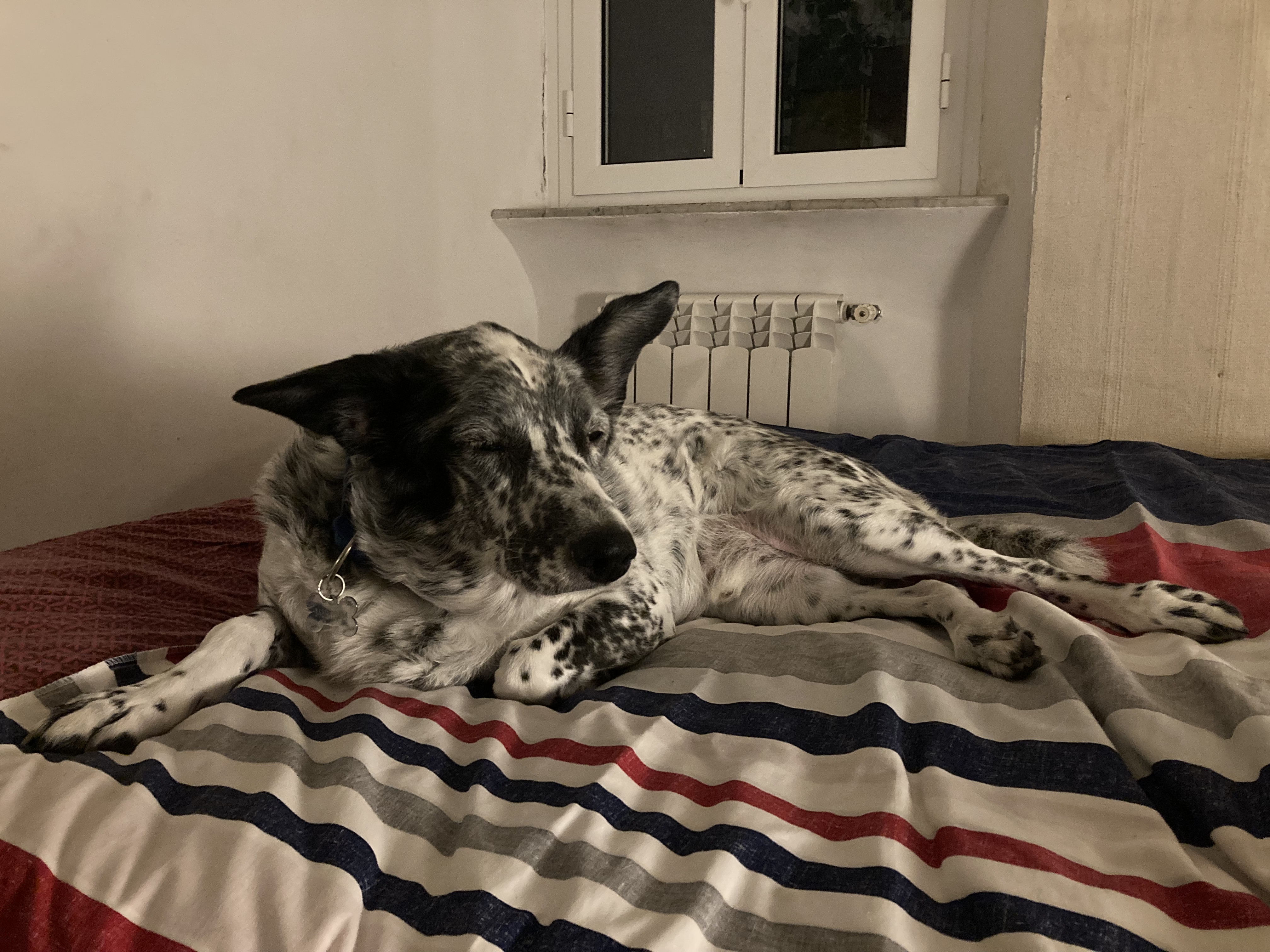 image-9