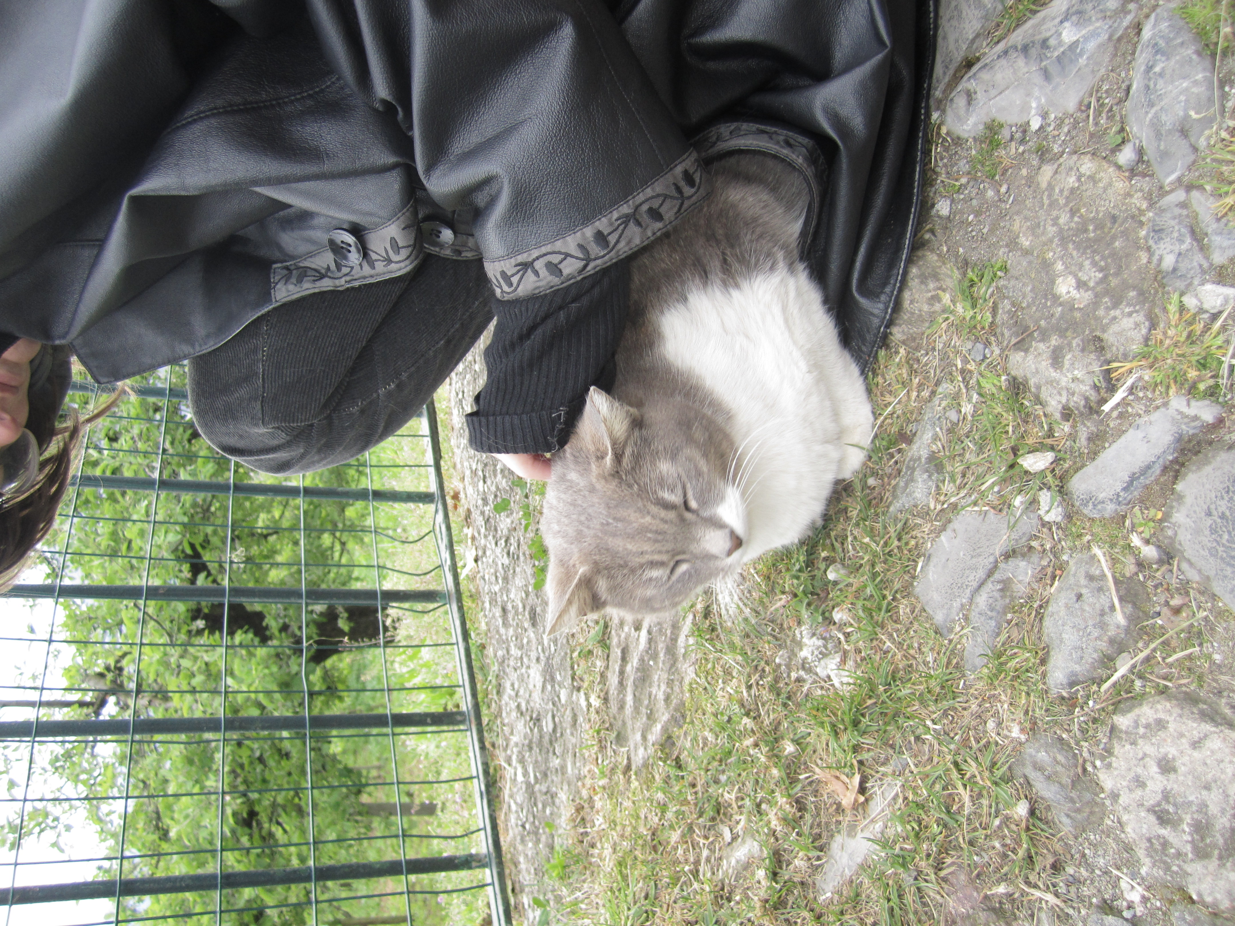 image-11