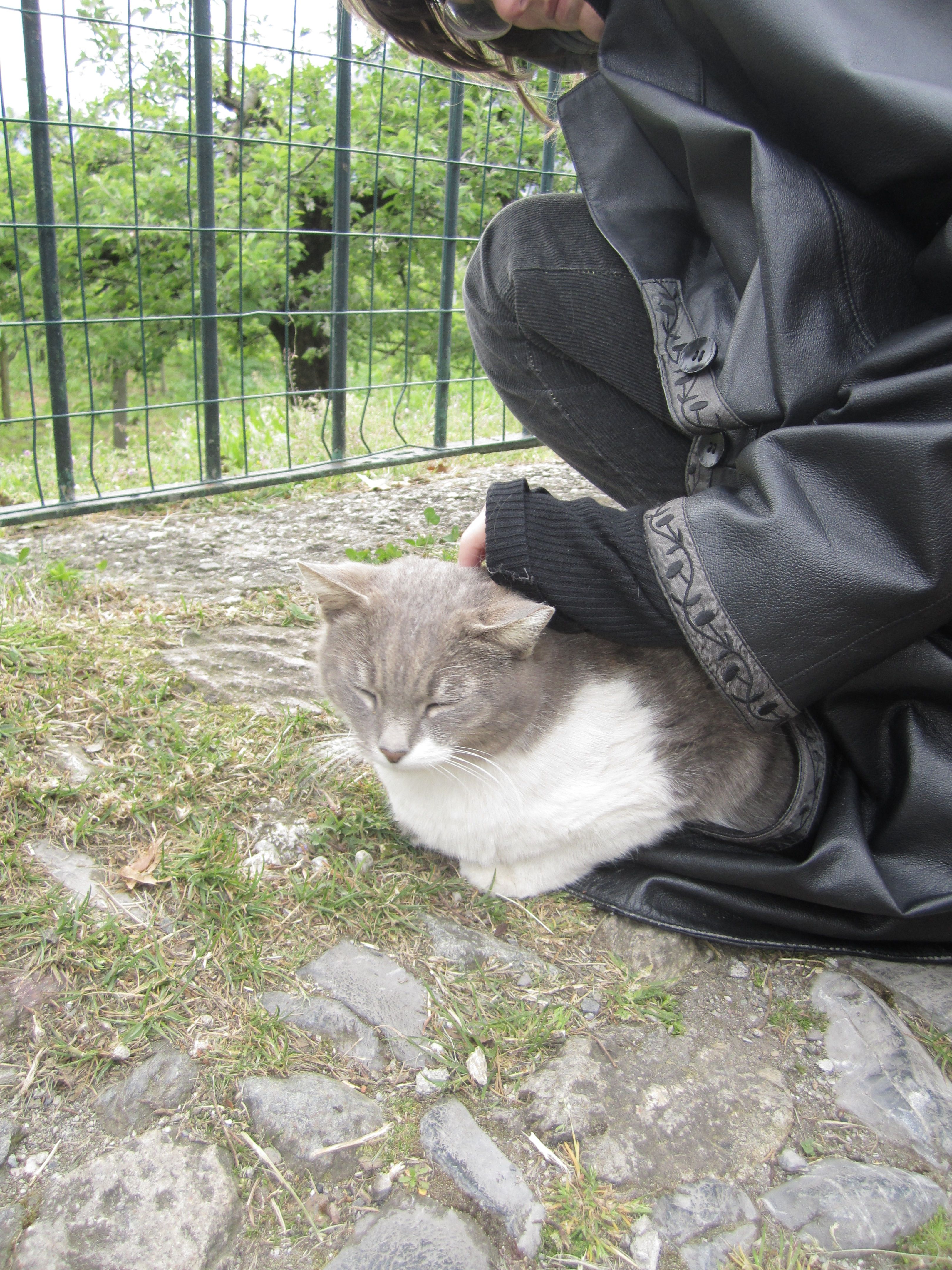 image-11