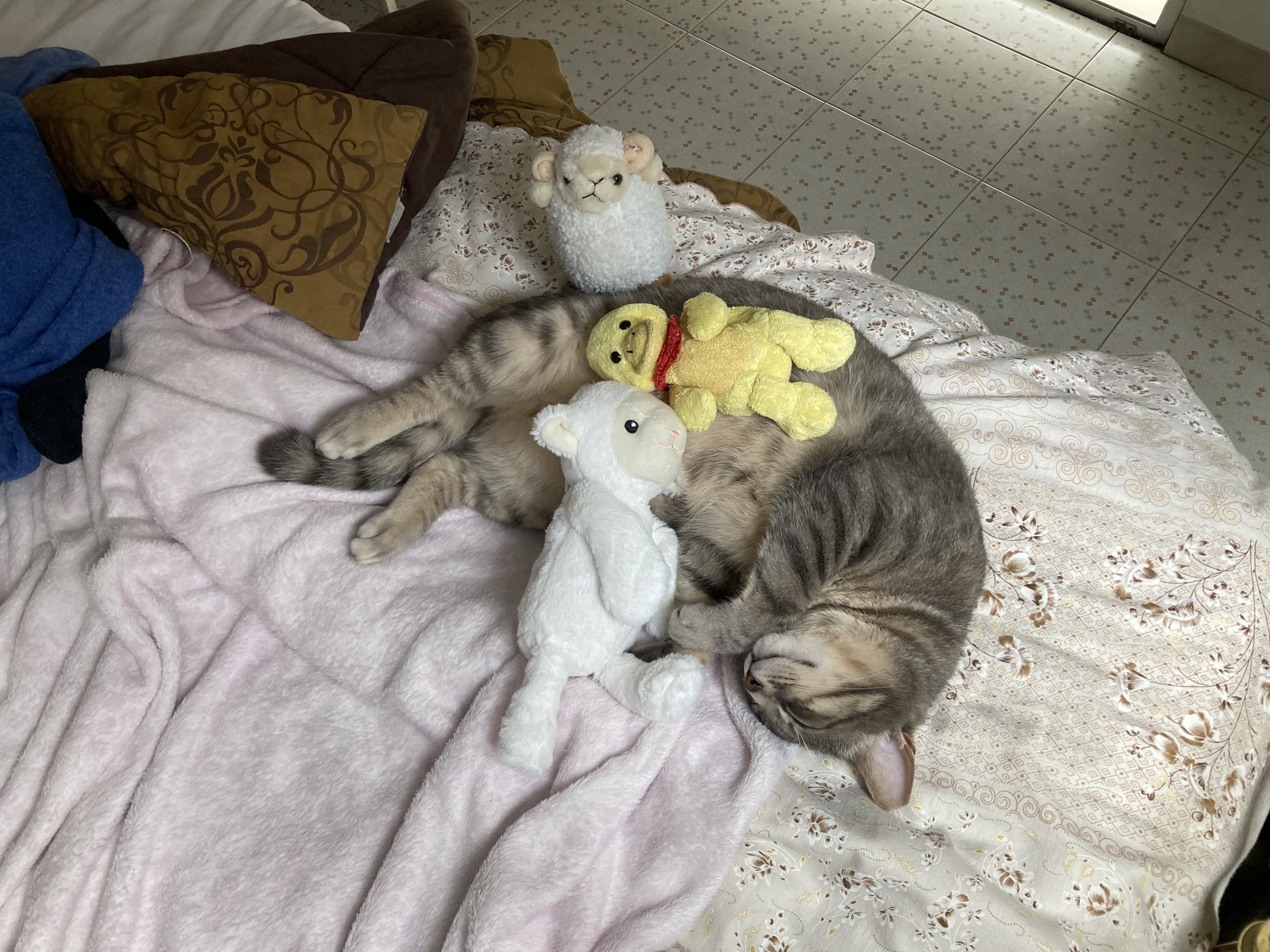 image-6