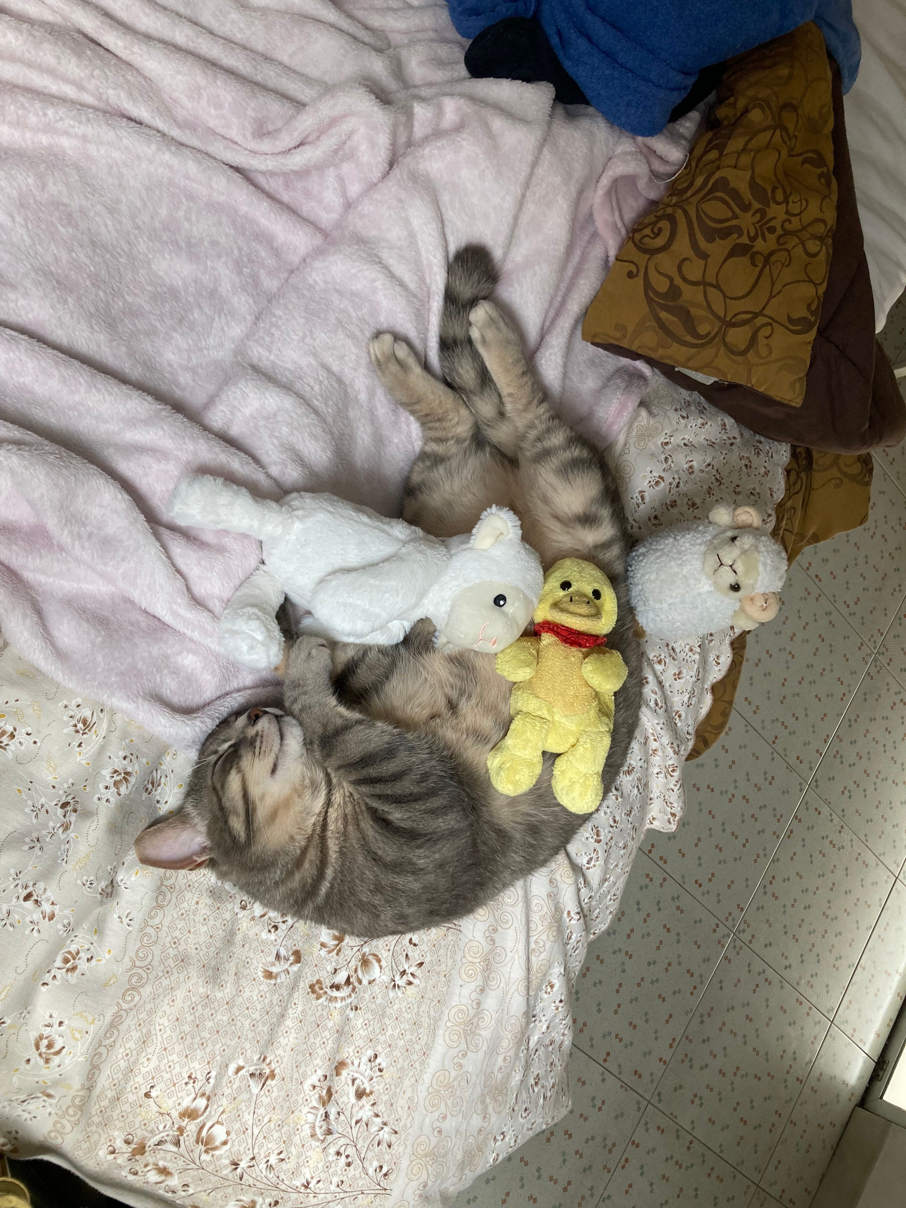 image-6