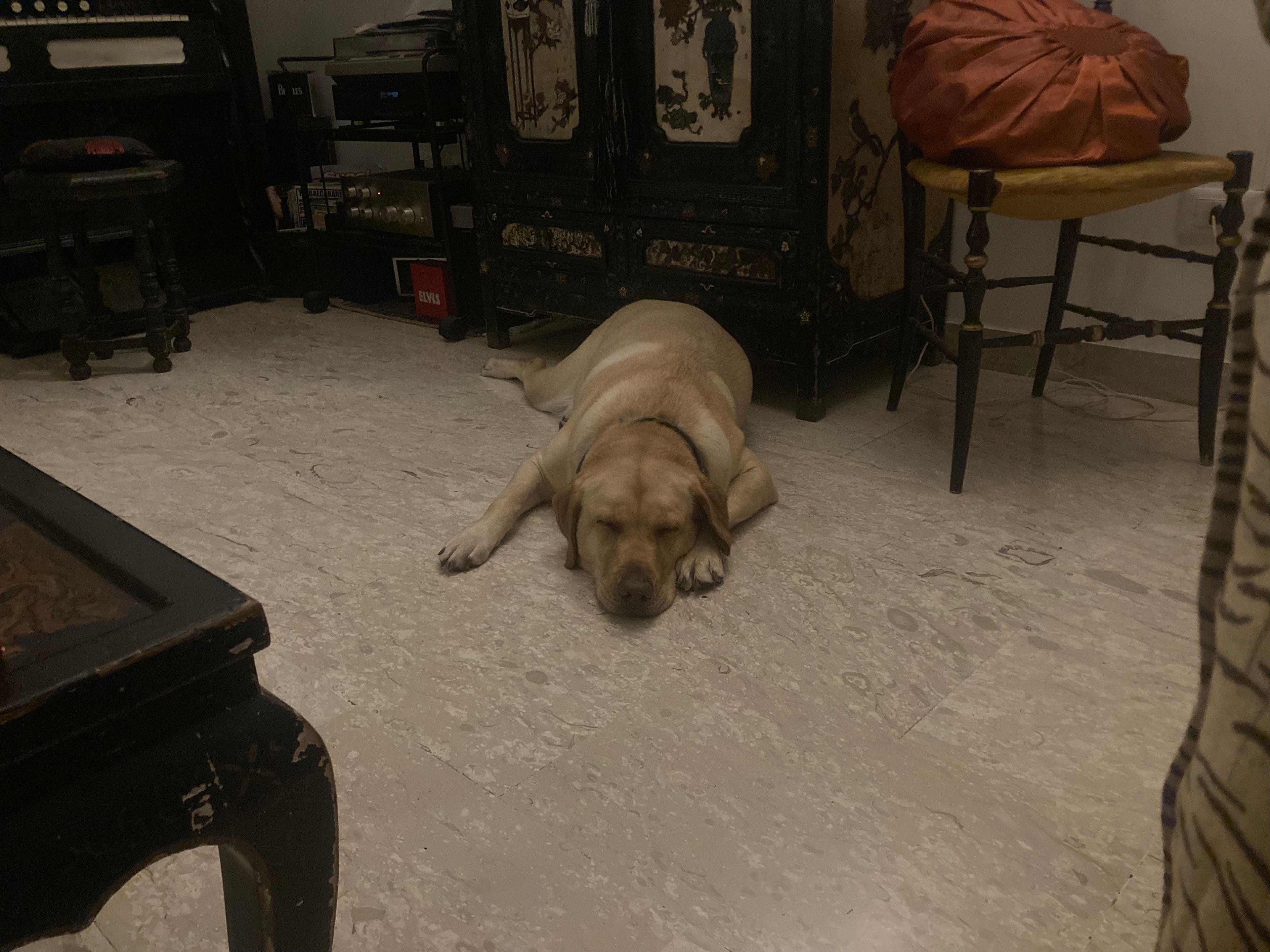 image-8