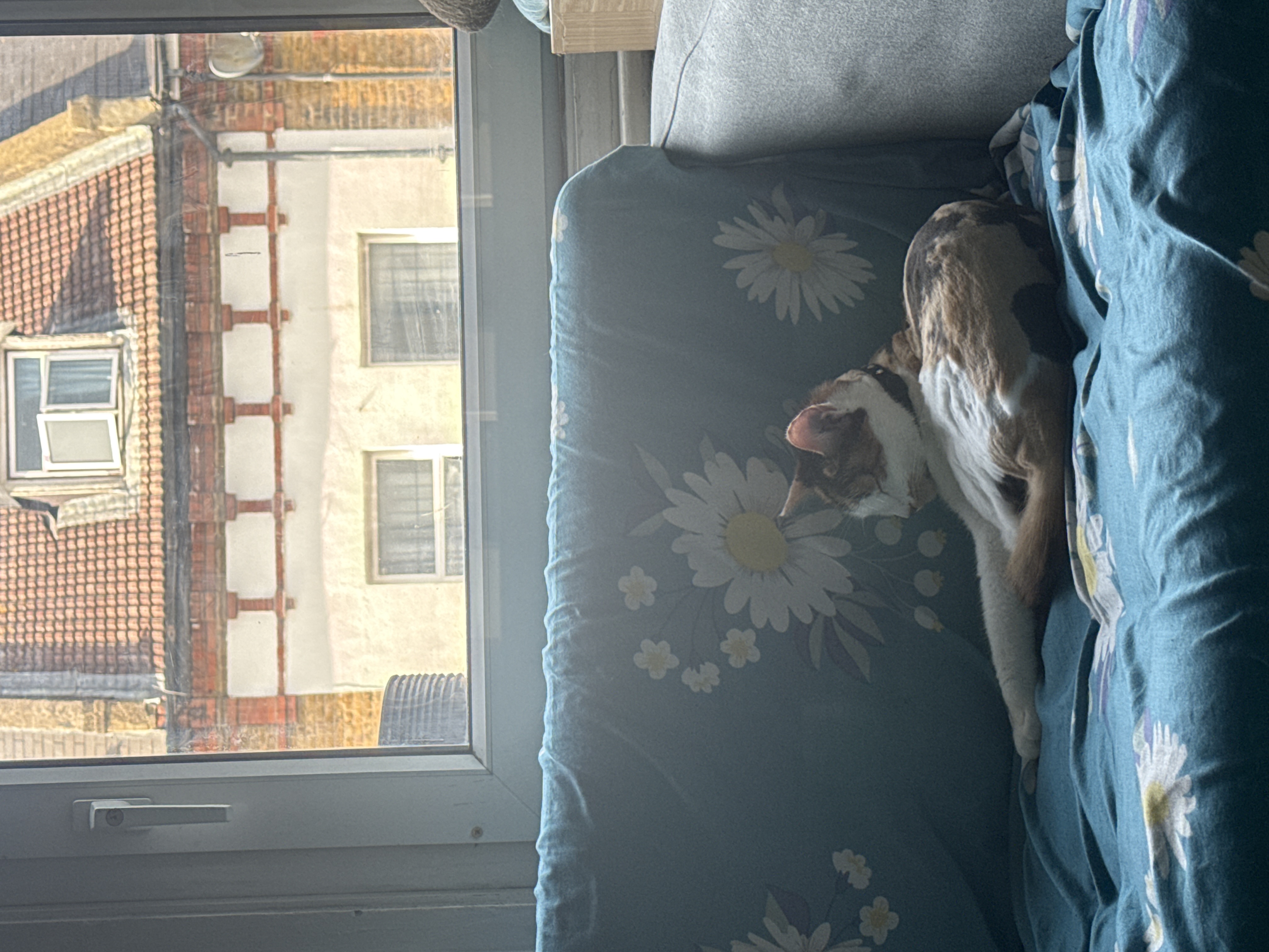 image-14