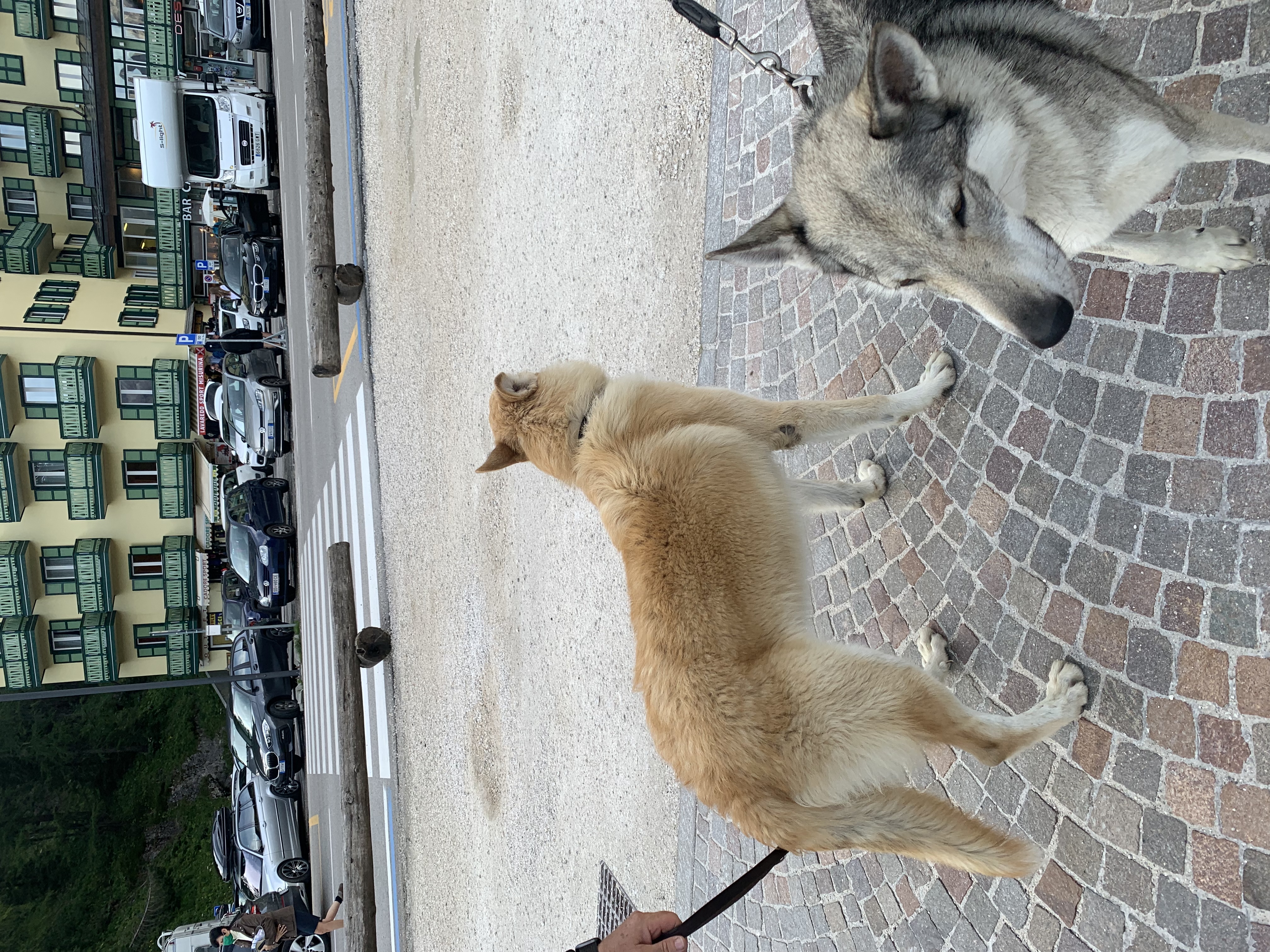 image-7