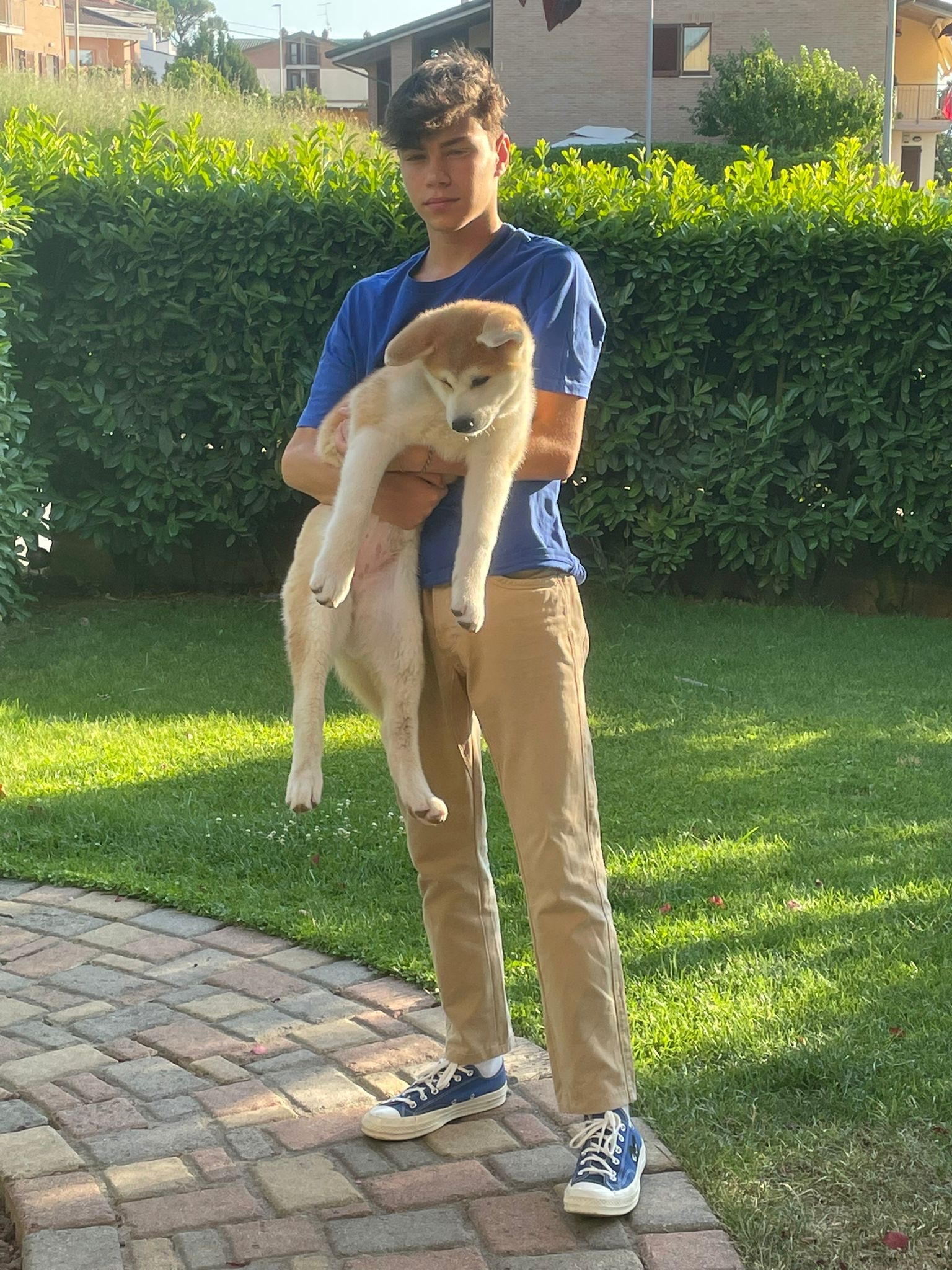 image-8