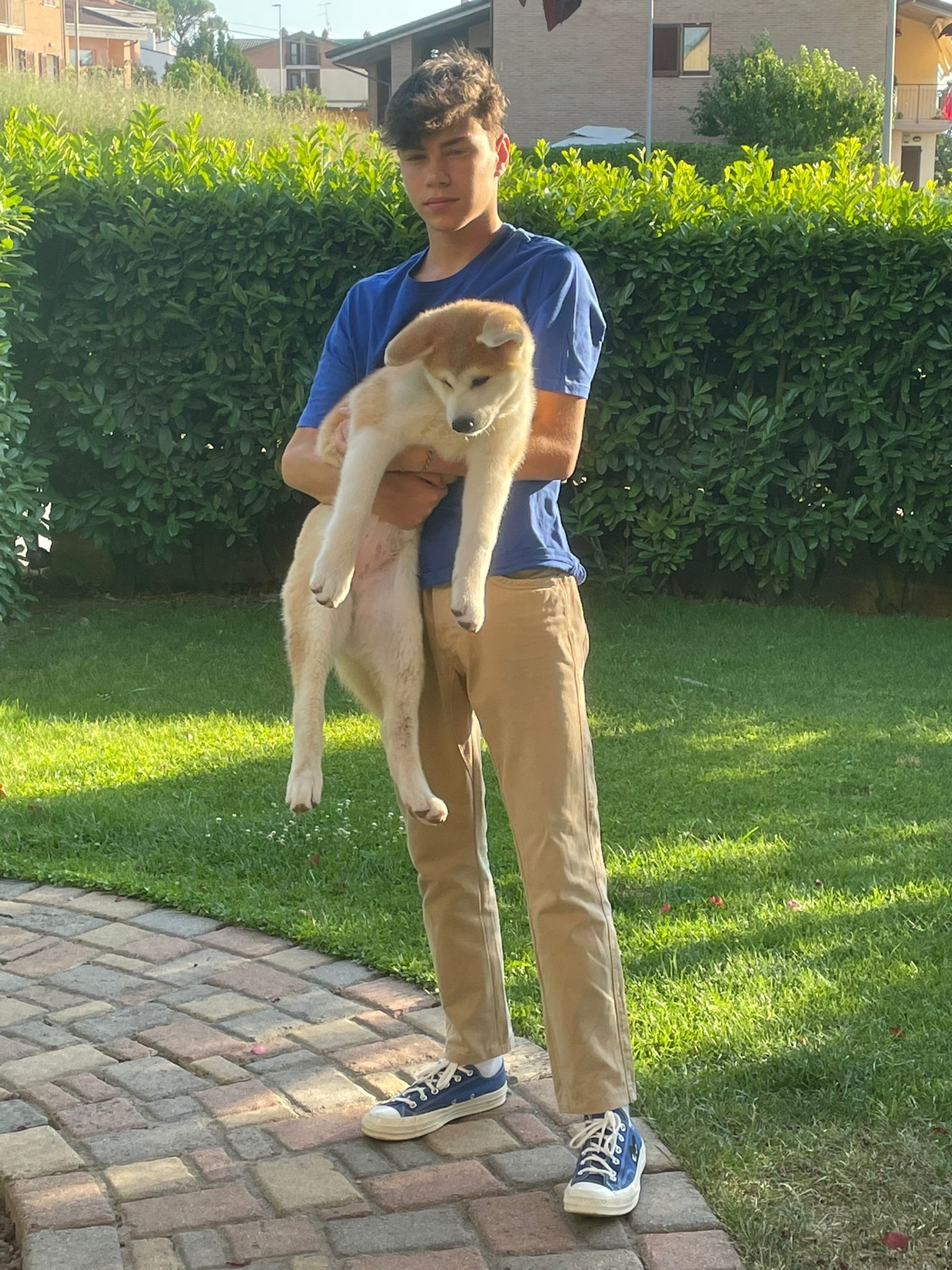 image-8
