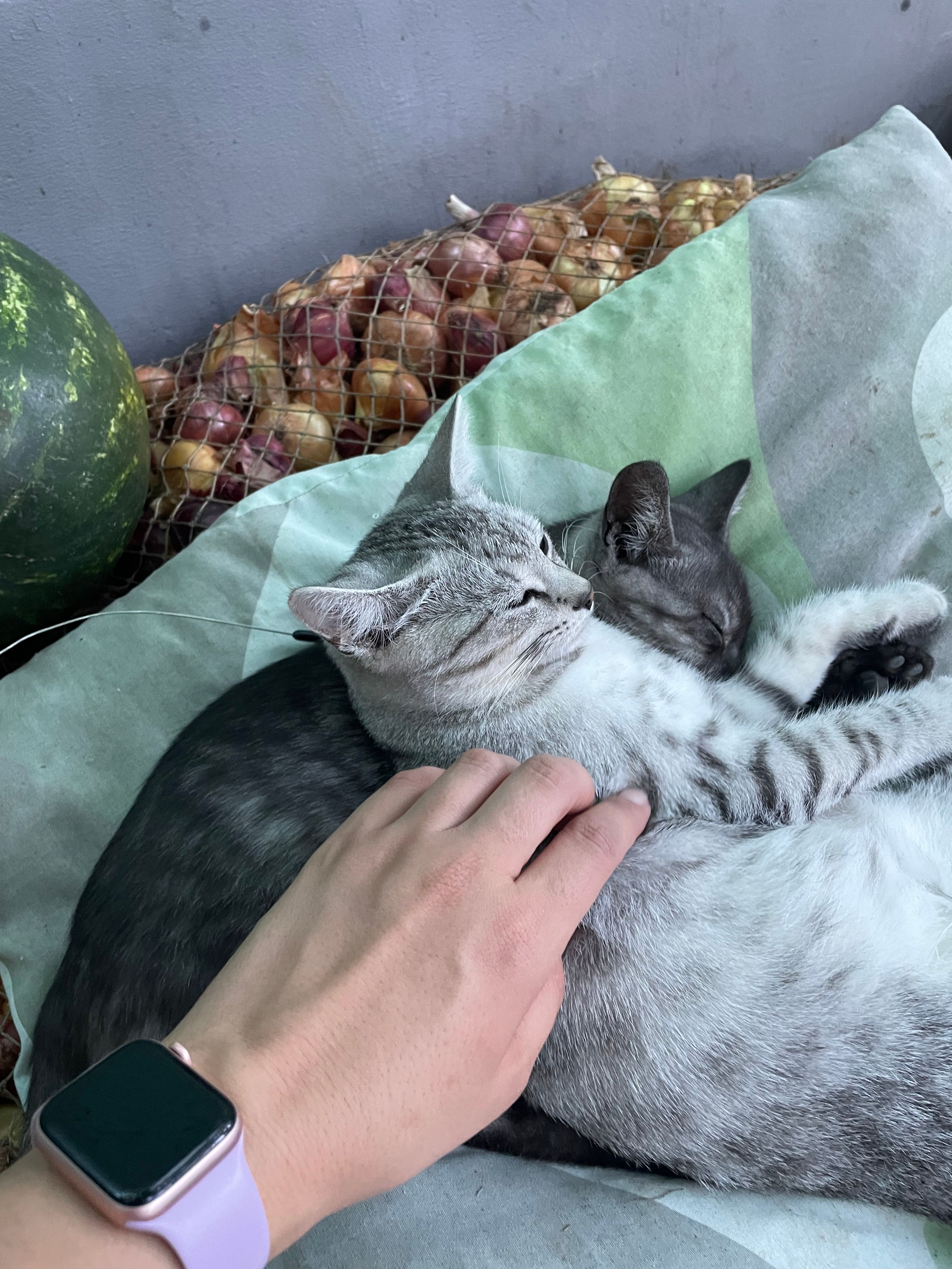 image-9