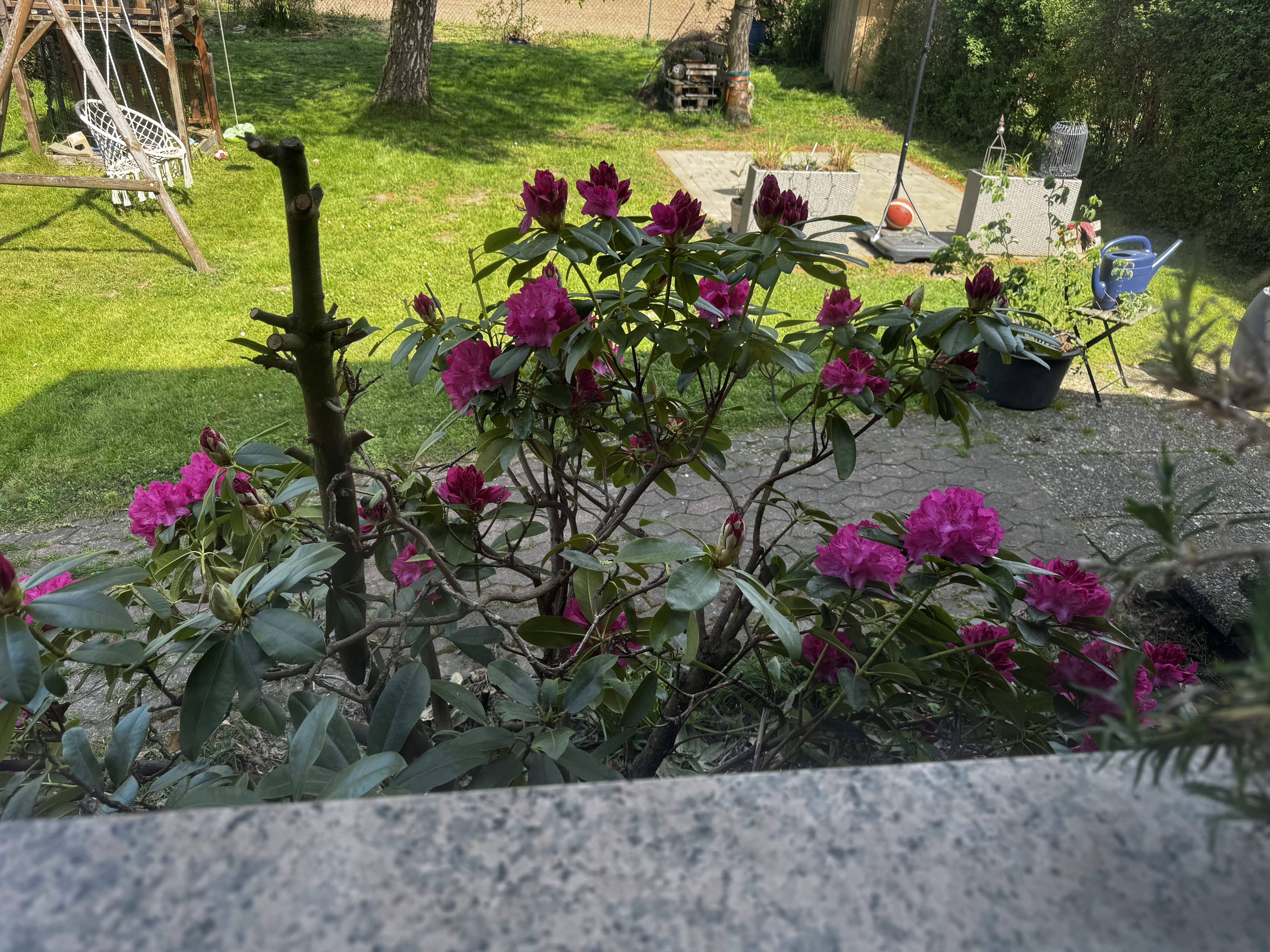 image-14