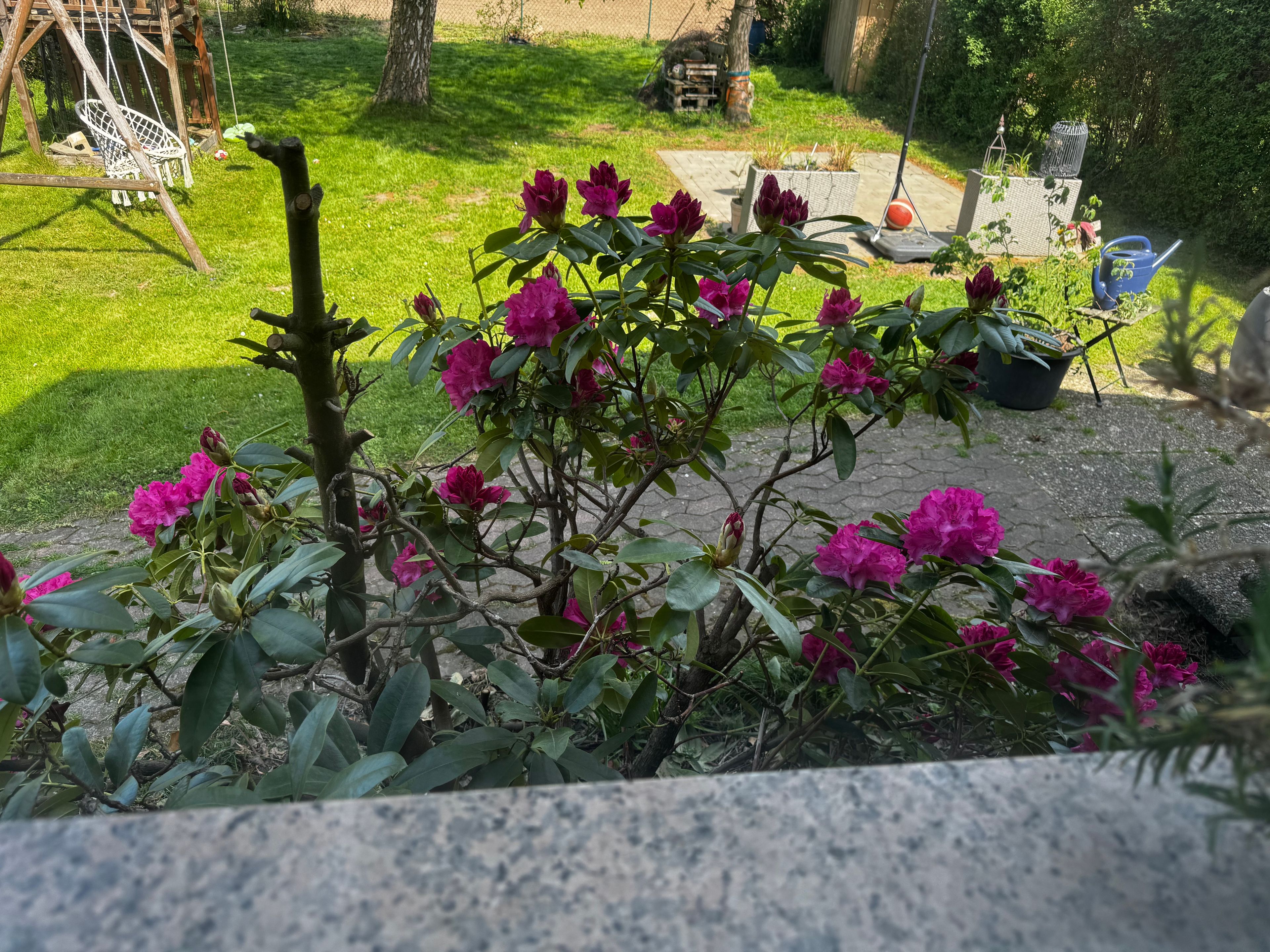 image-14
