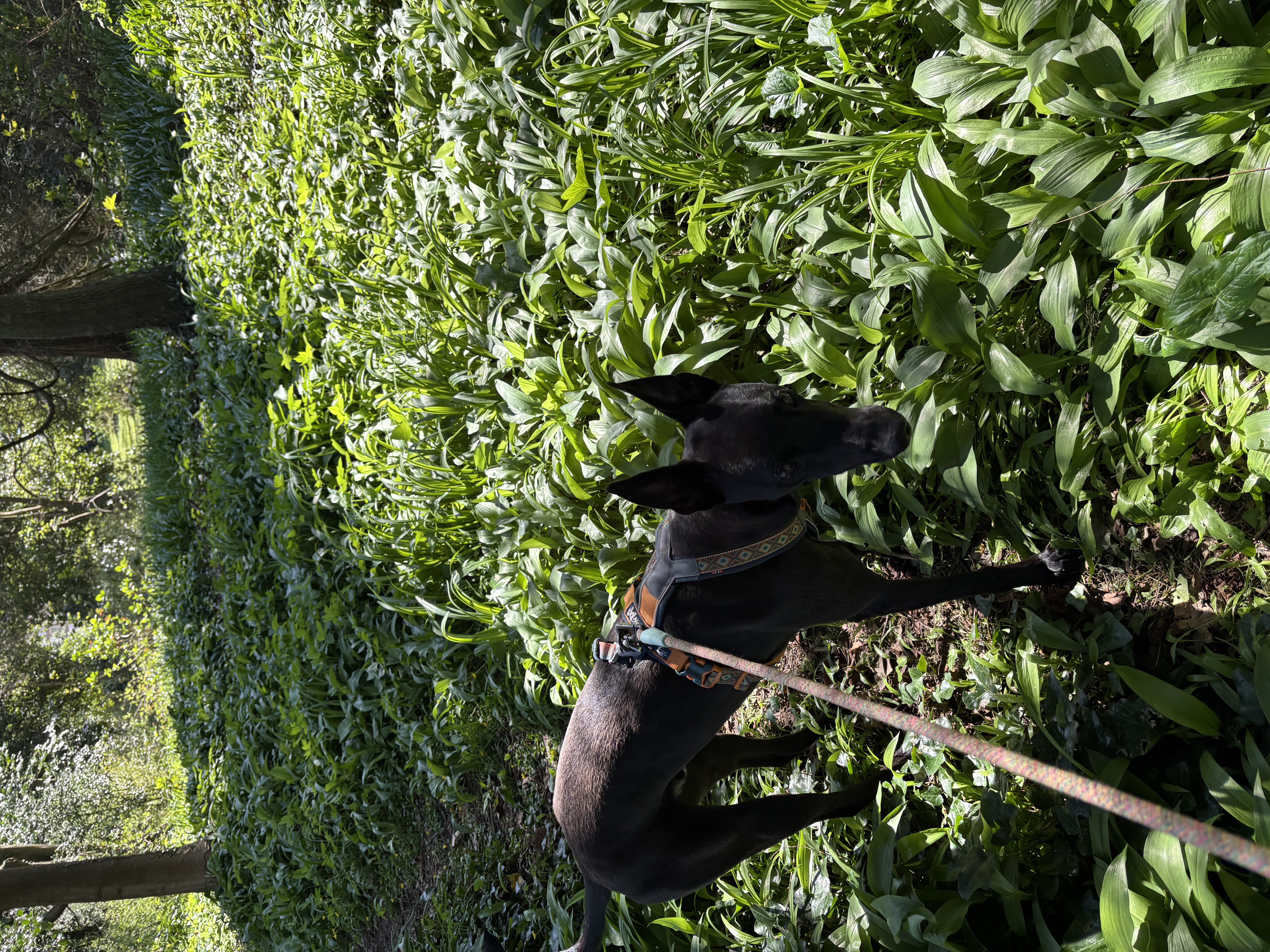 image-12