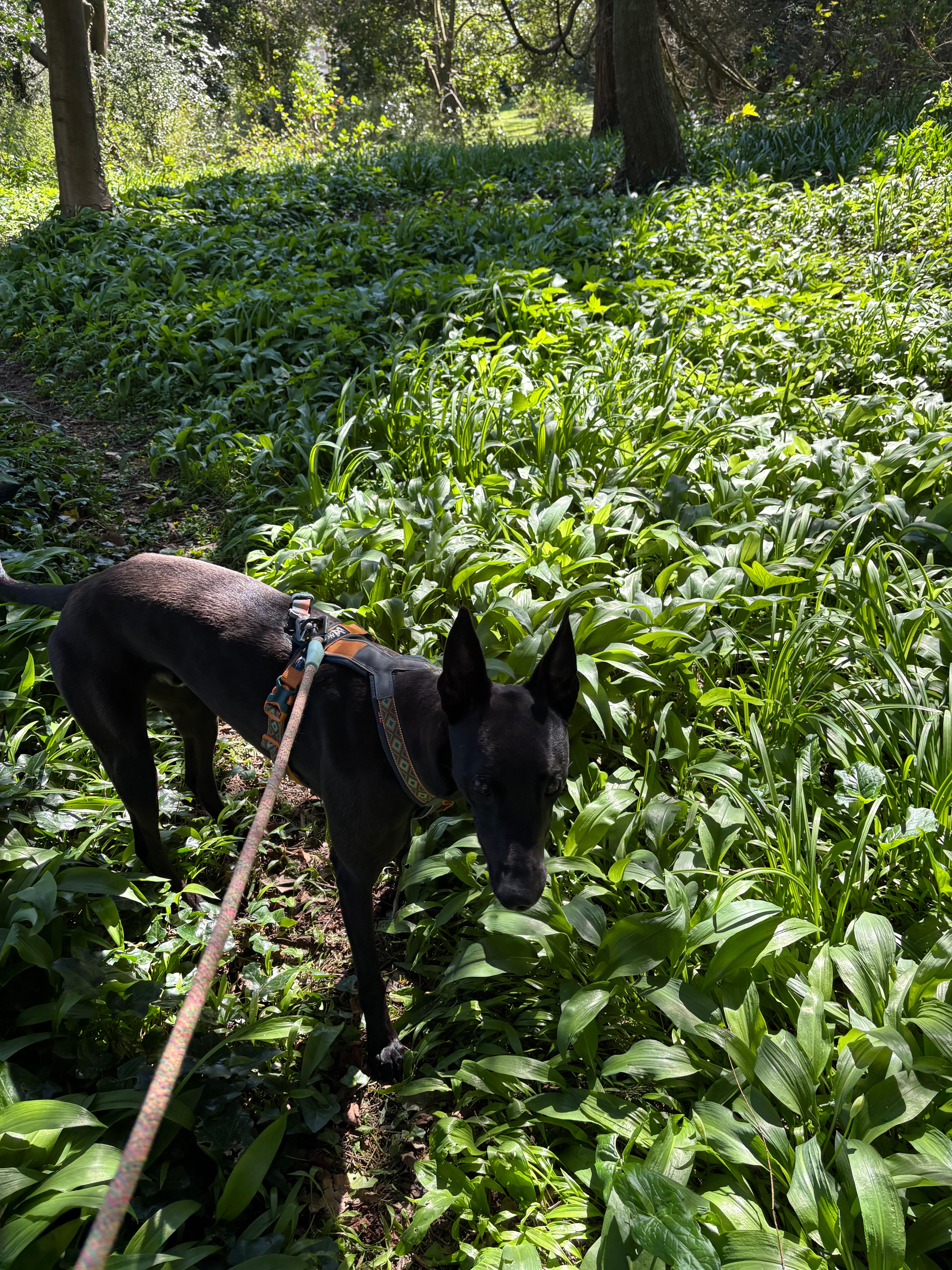 image-12