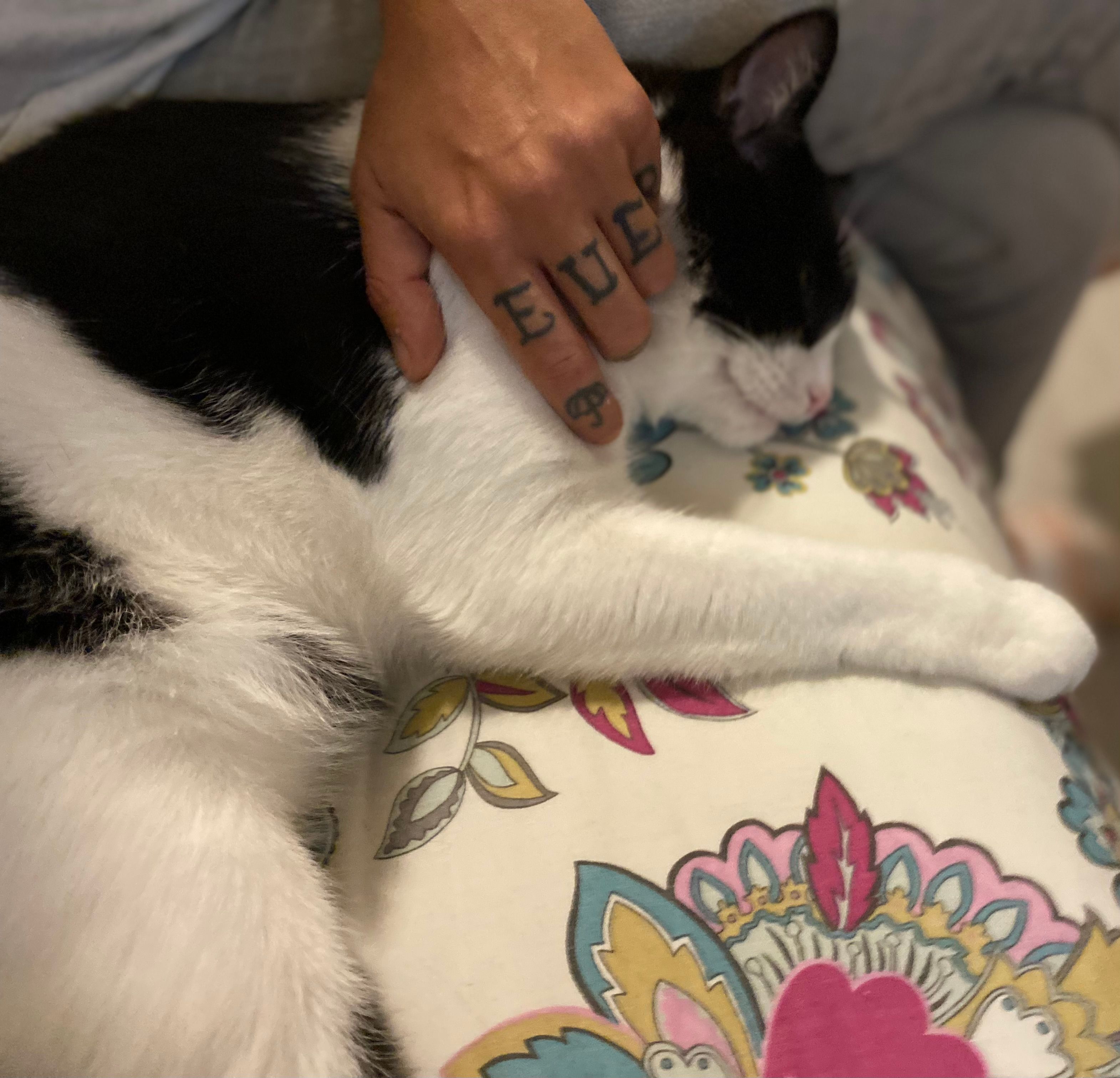 image-3