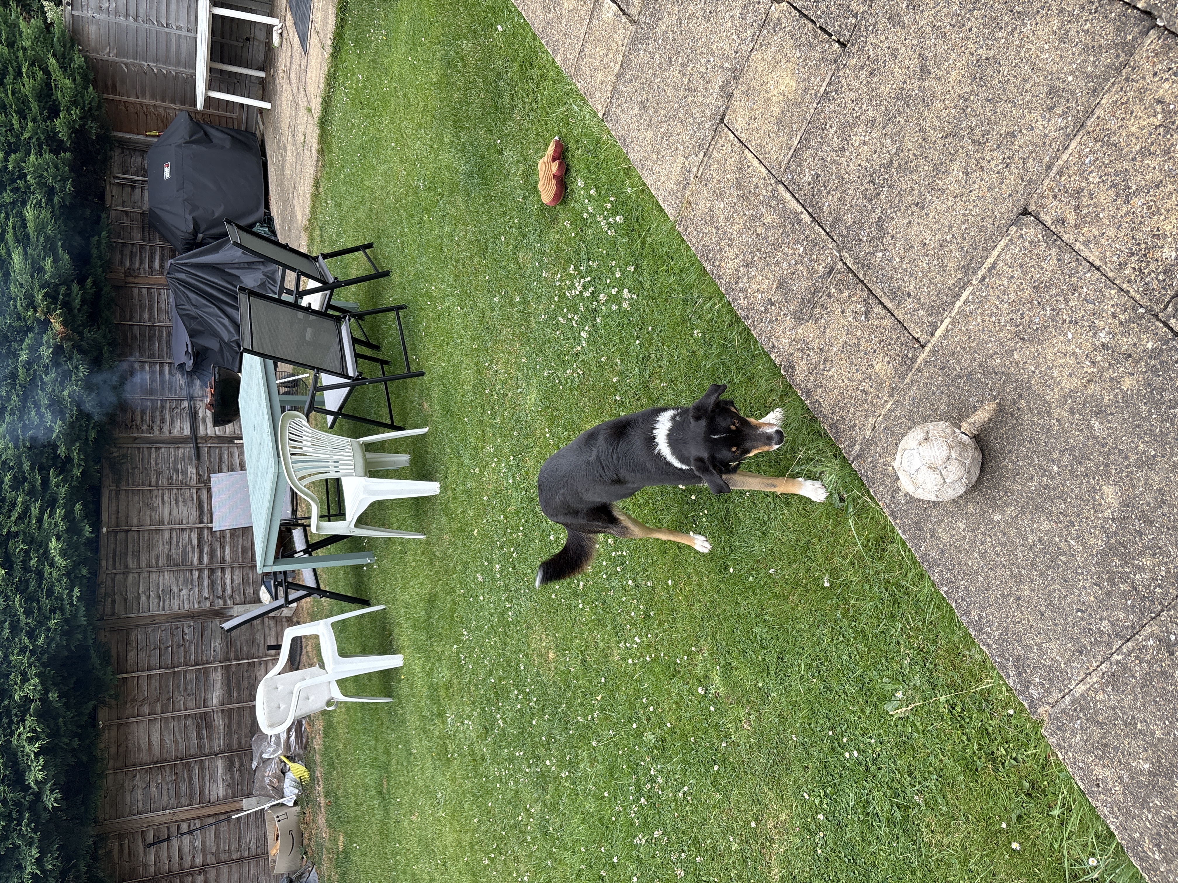 image-16