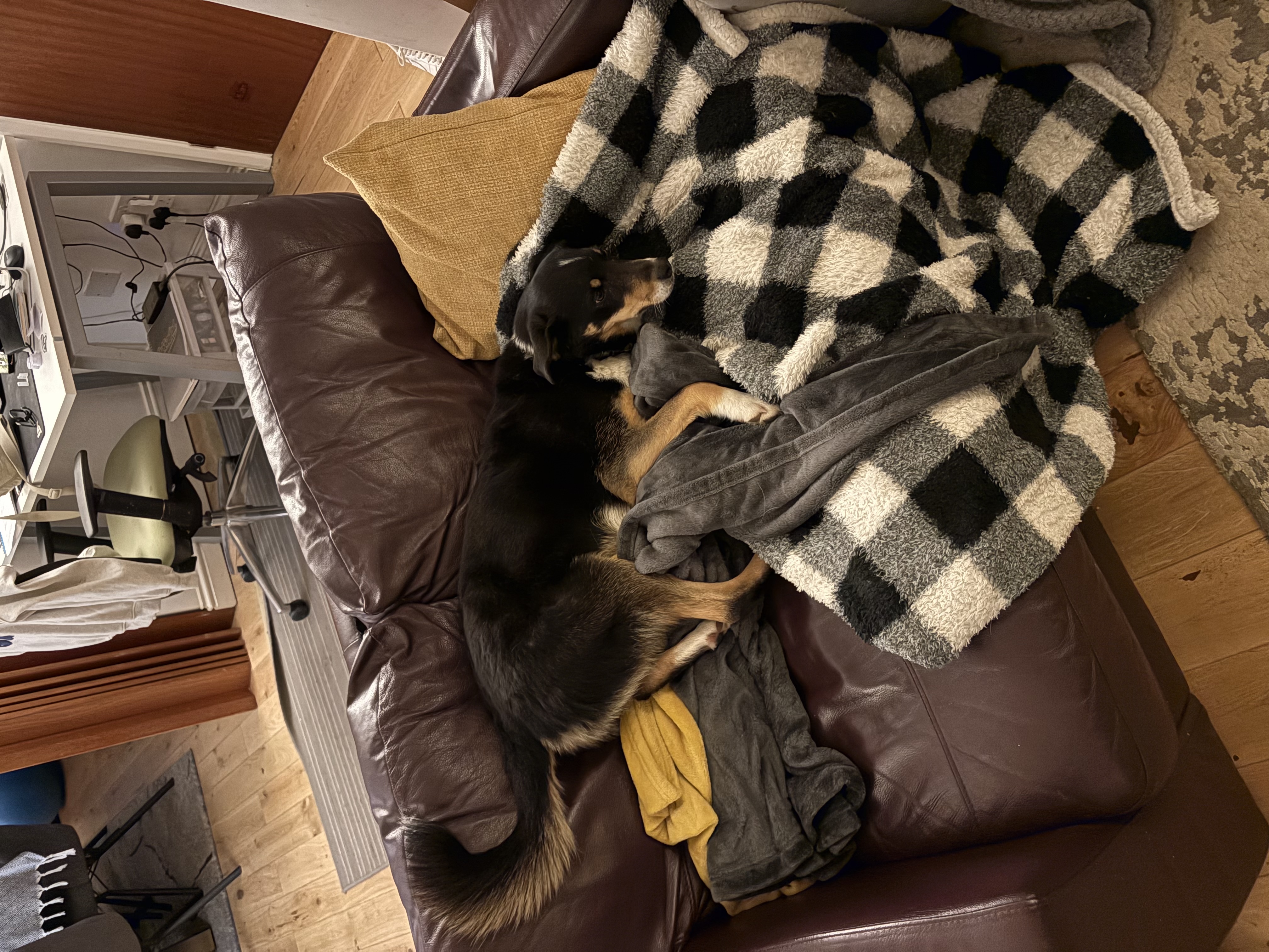 image-19