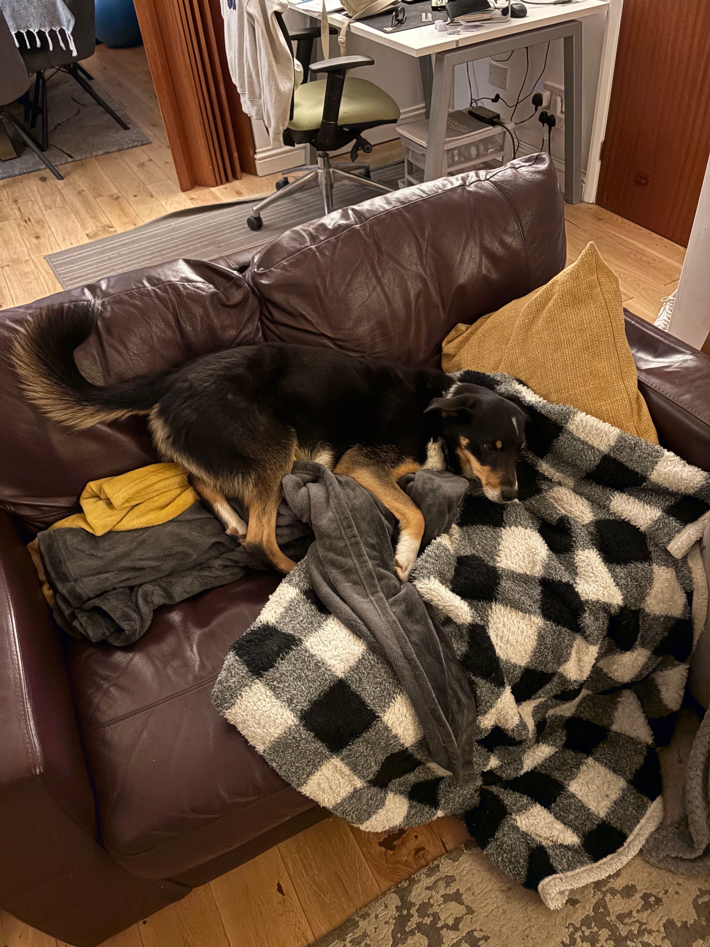 image-19