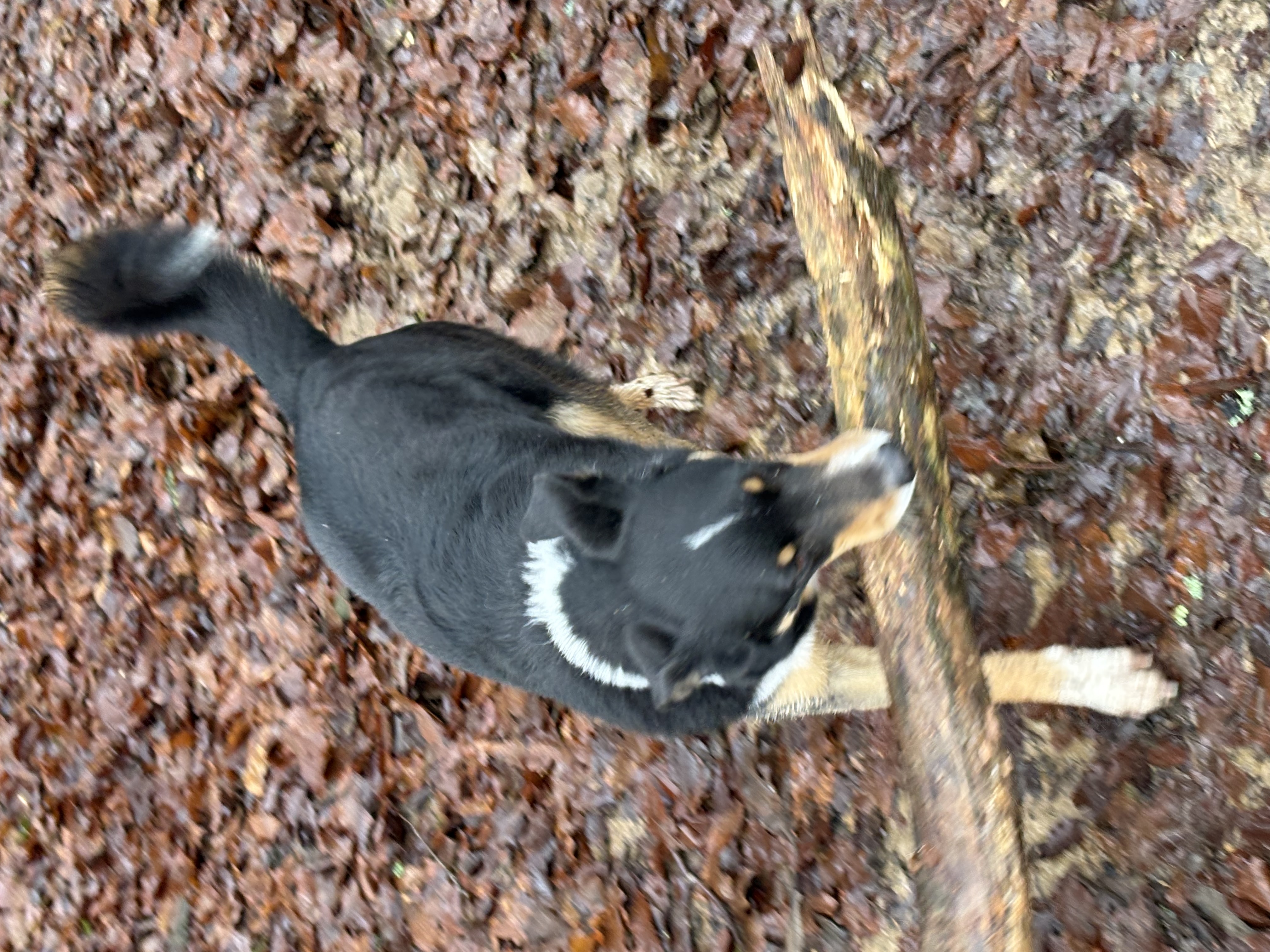 image-5