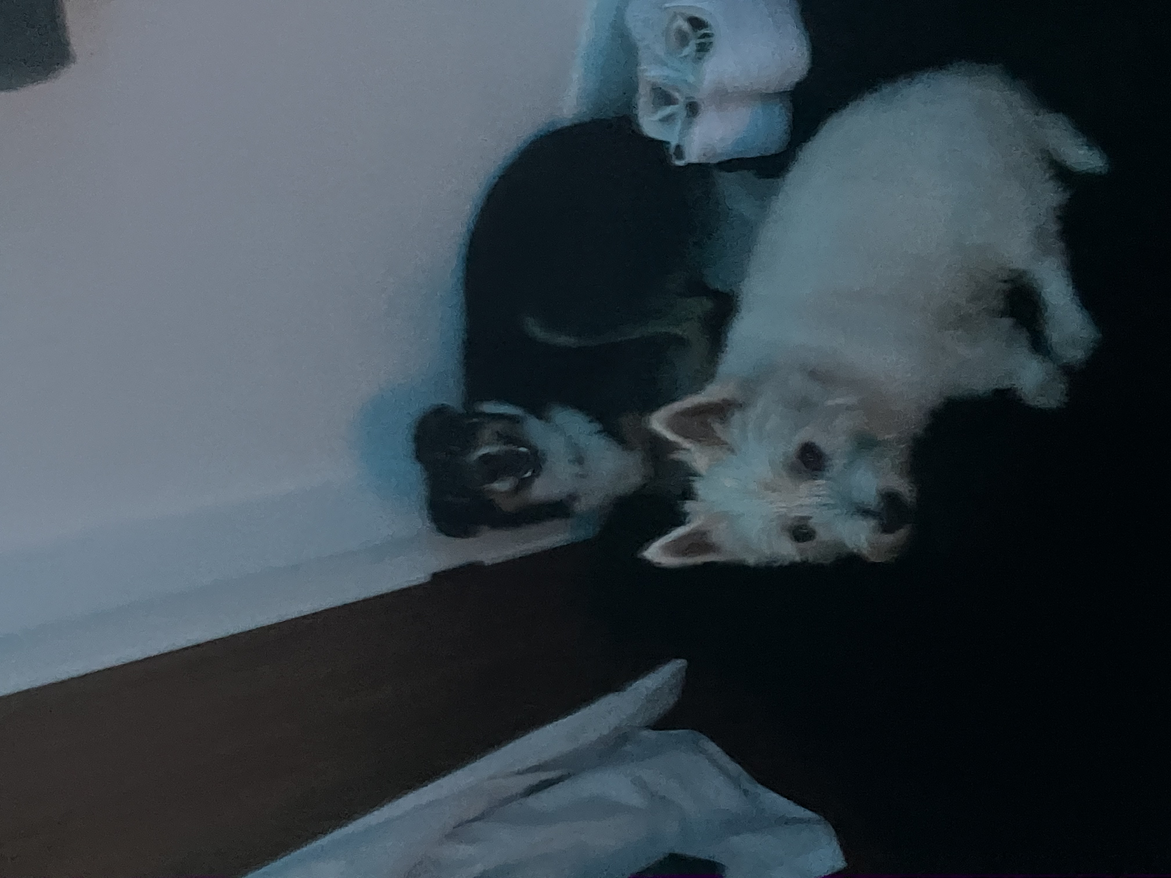 image-9
