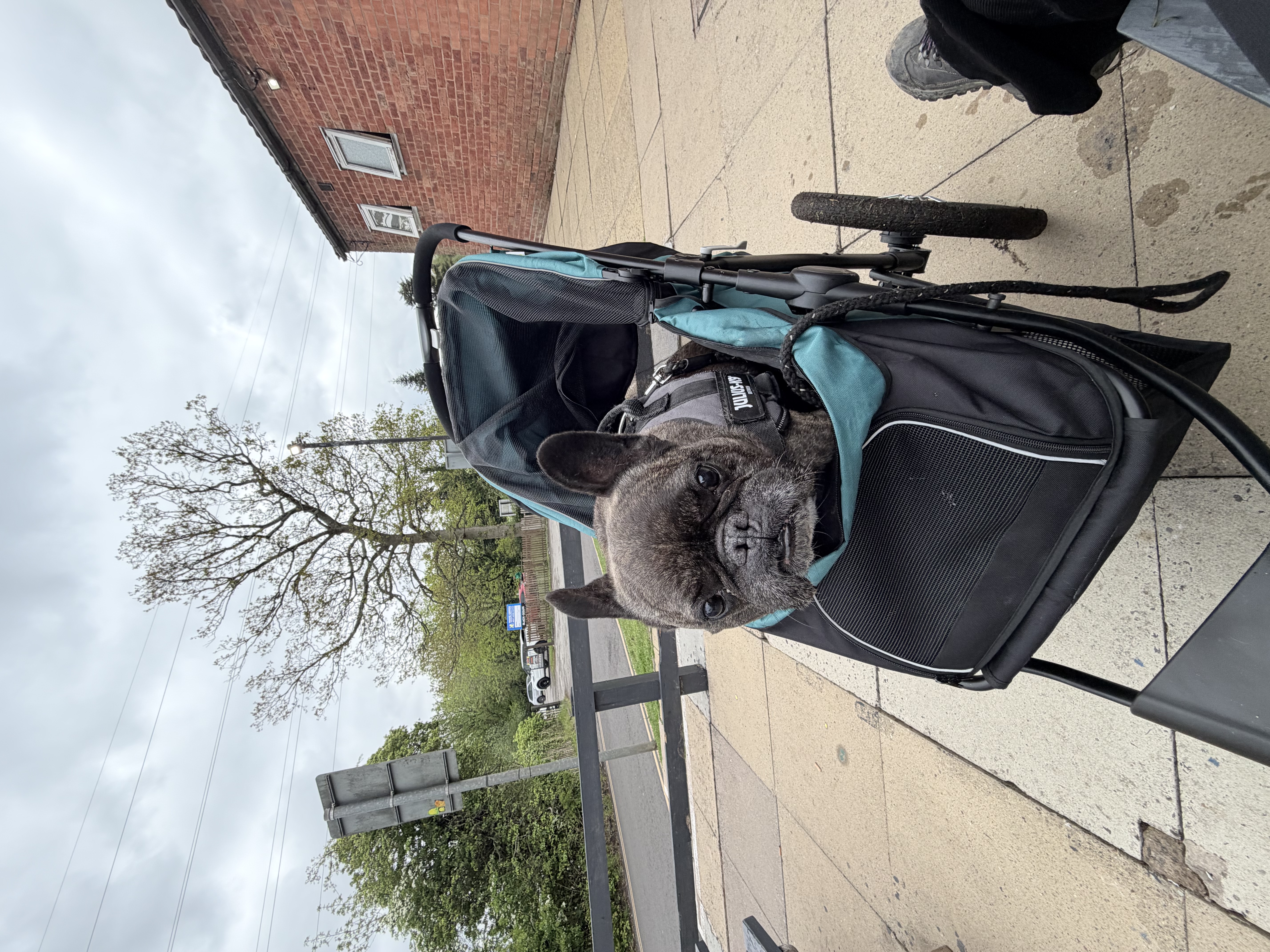 image-23