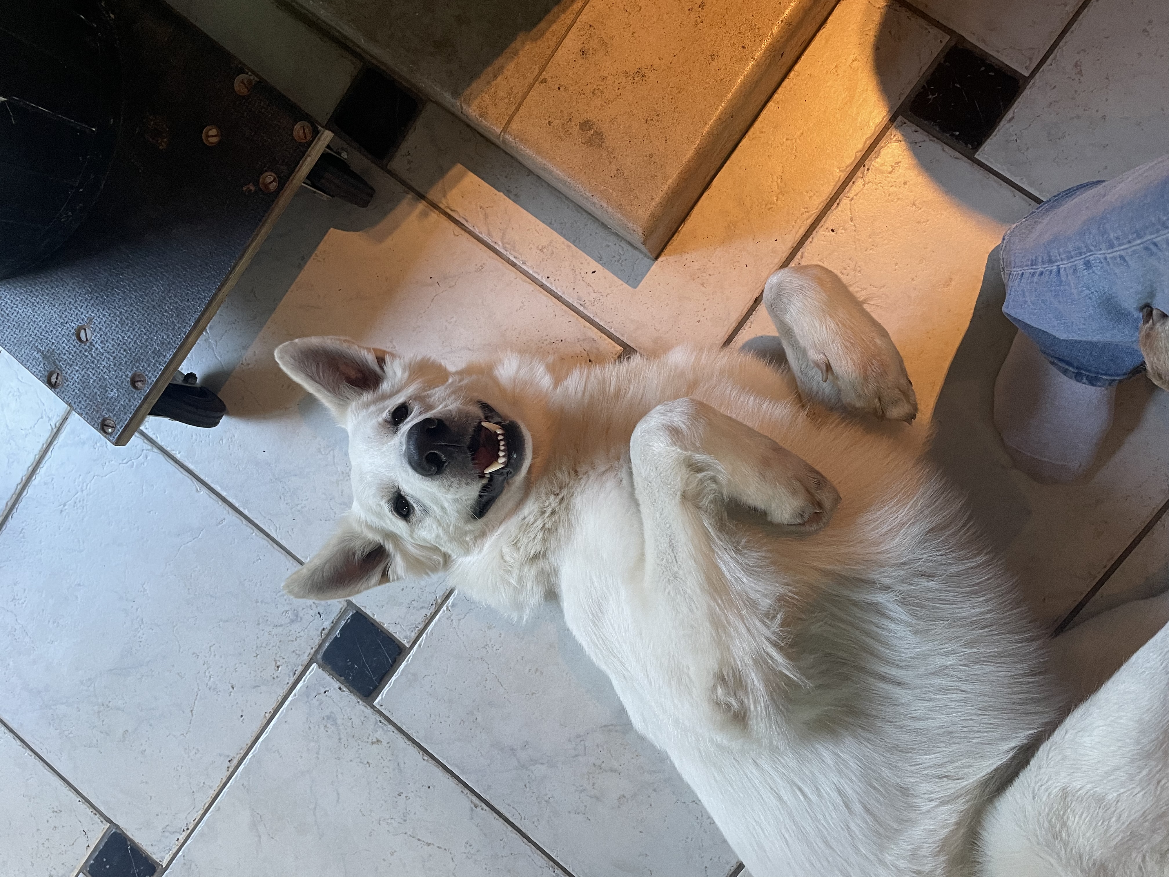 image-10