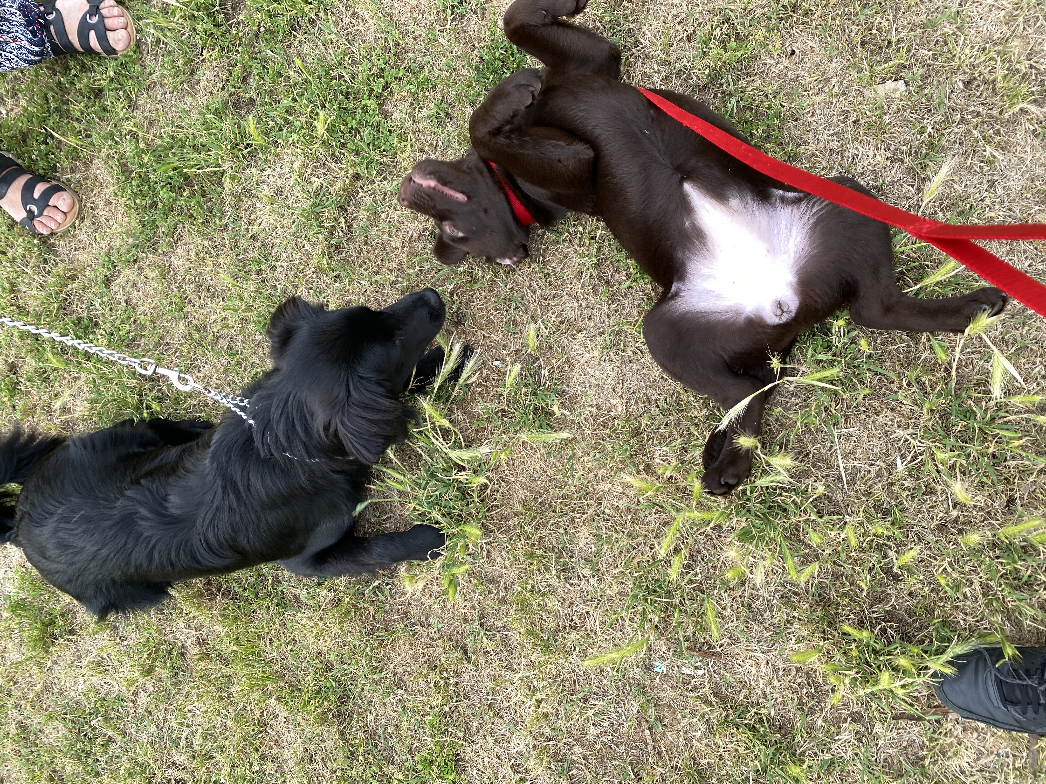 image-6
