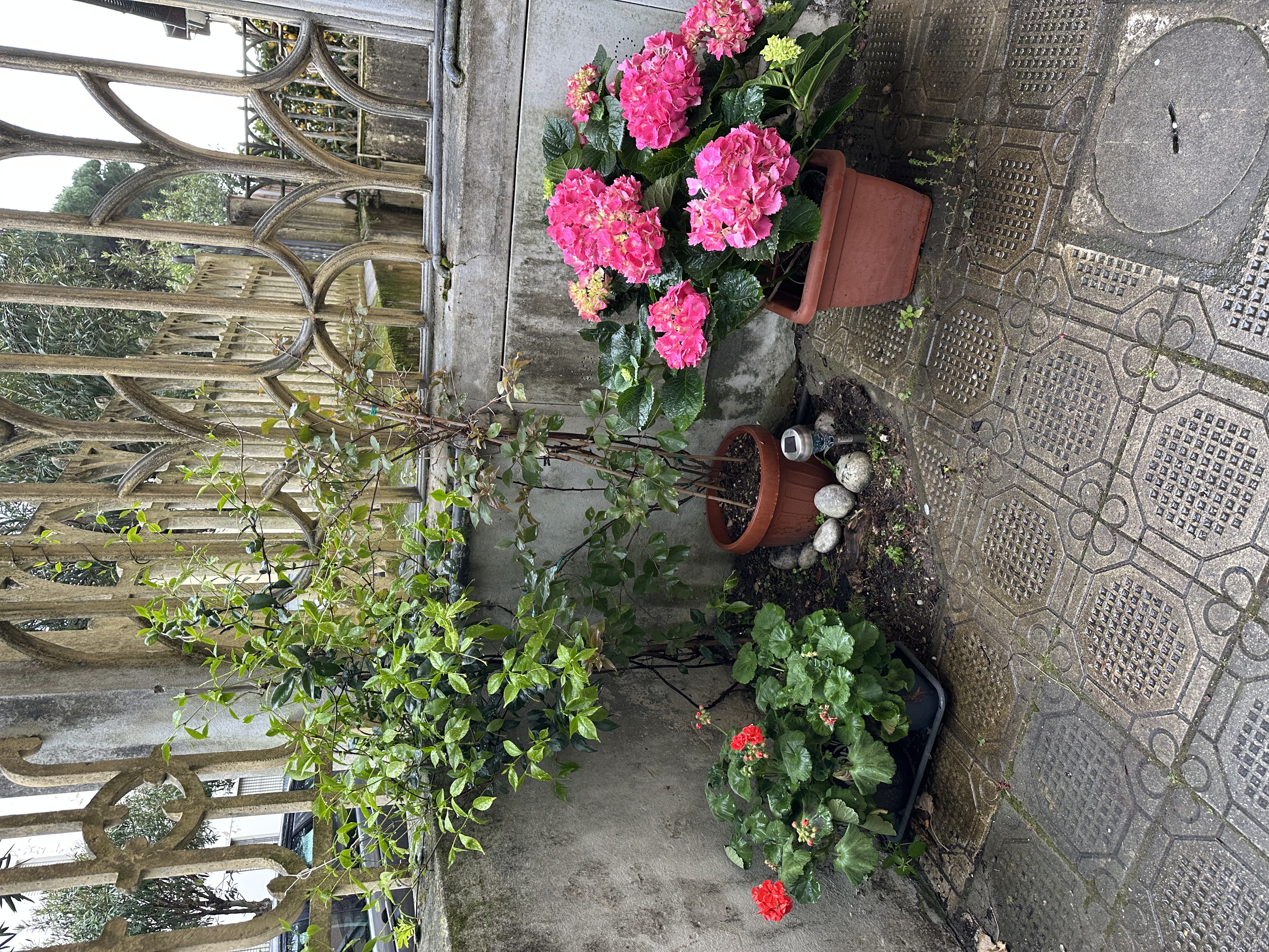 image-17