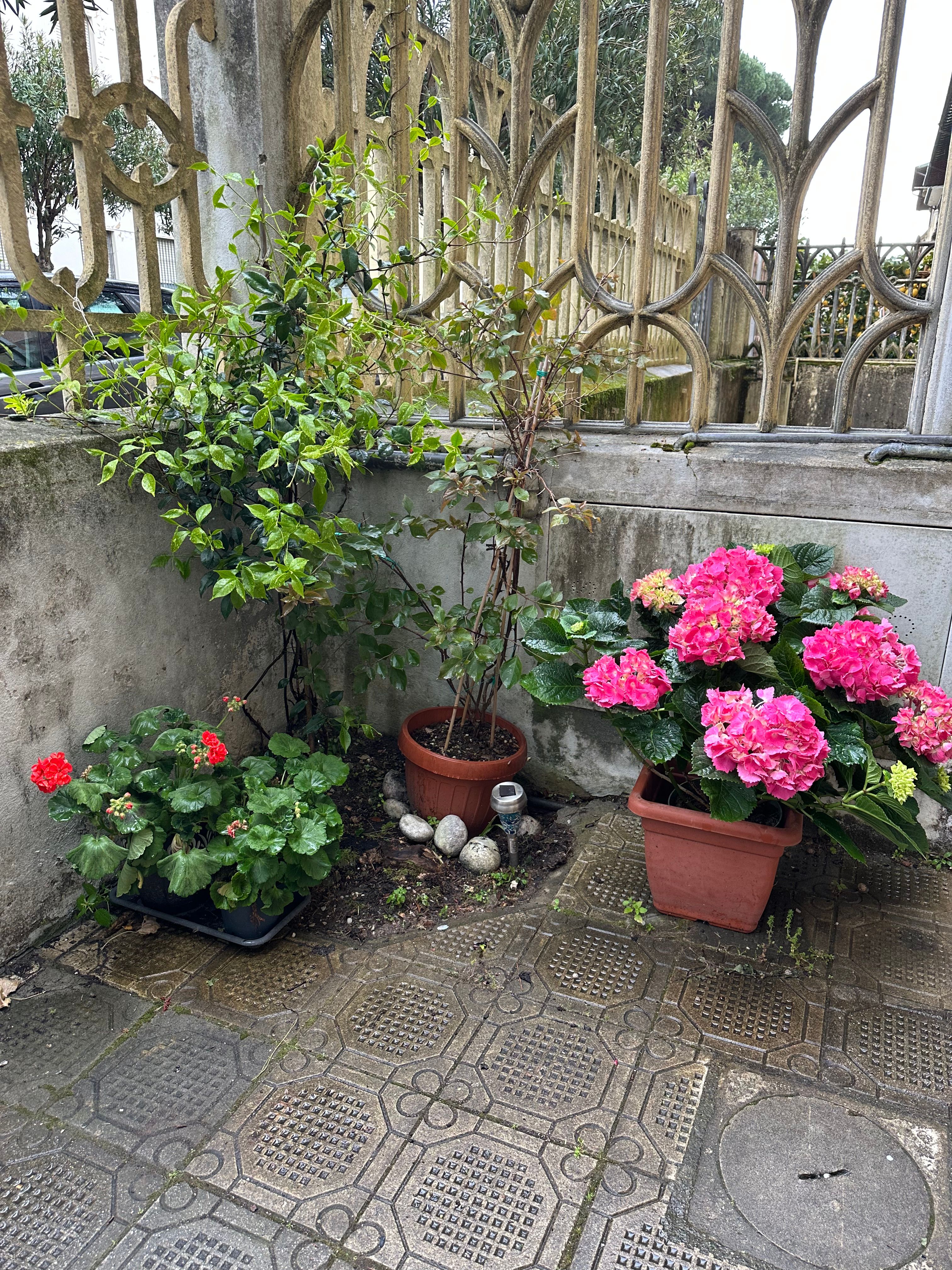 image-17
