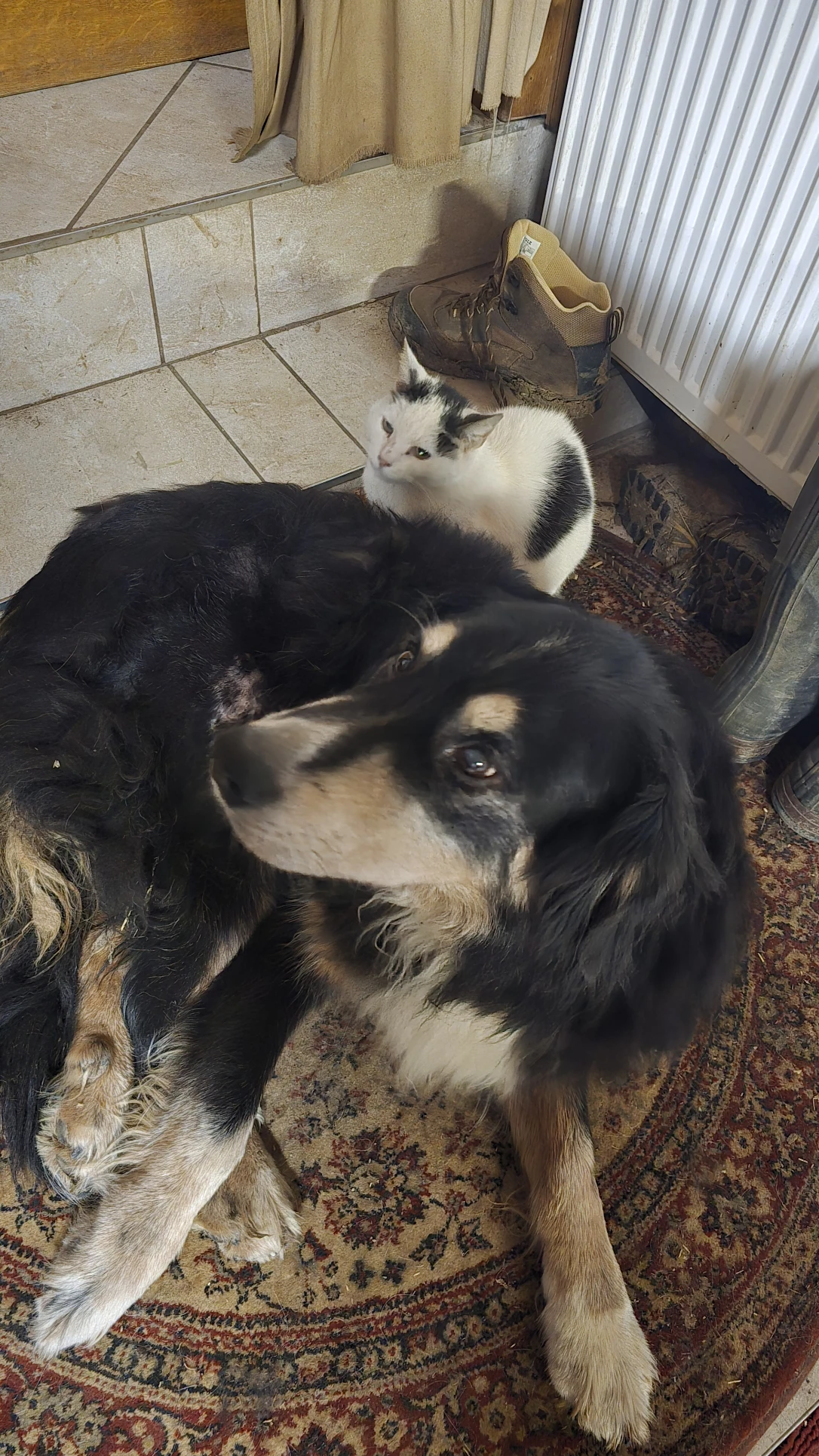 image-10