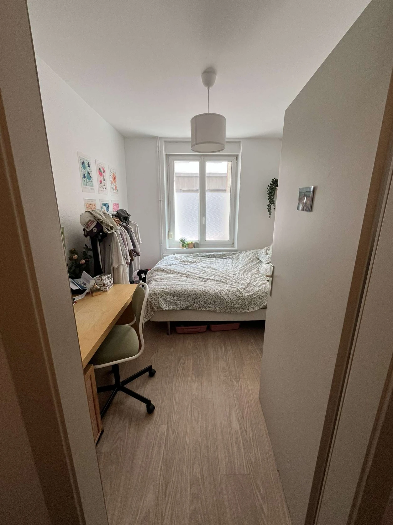 image-20