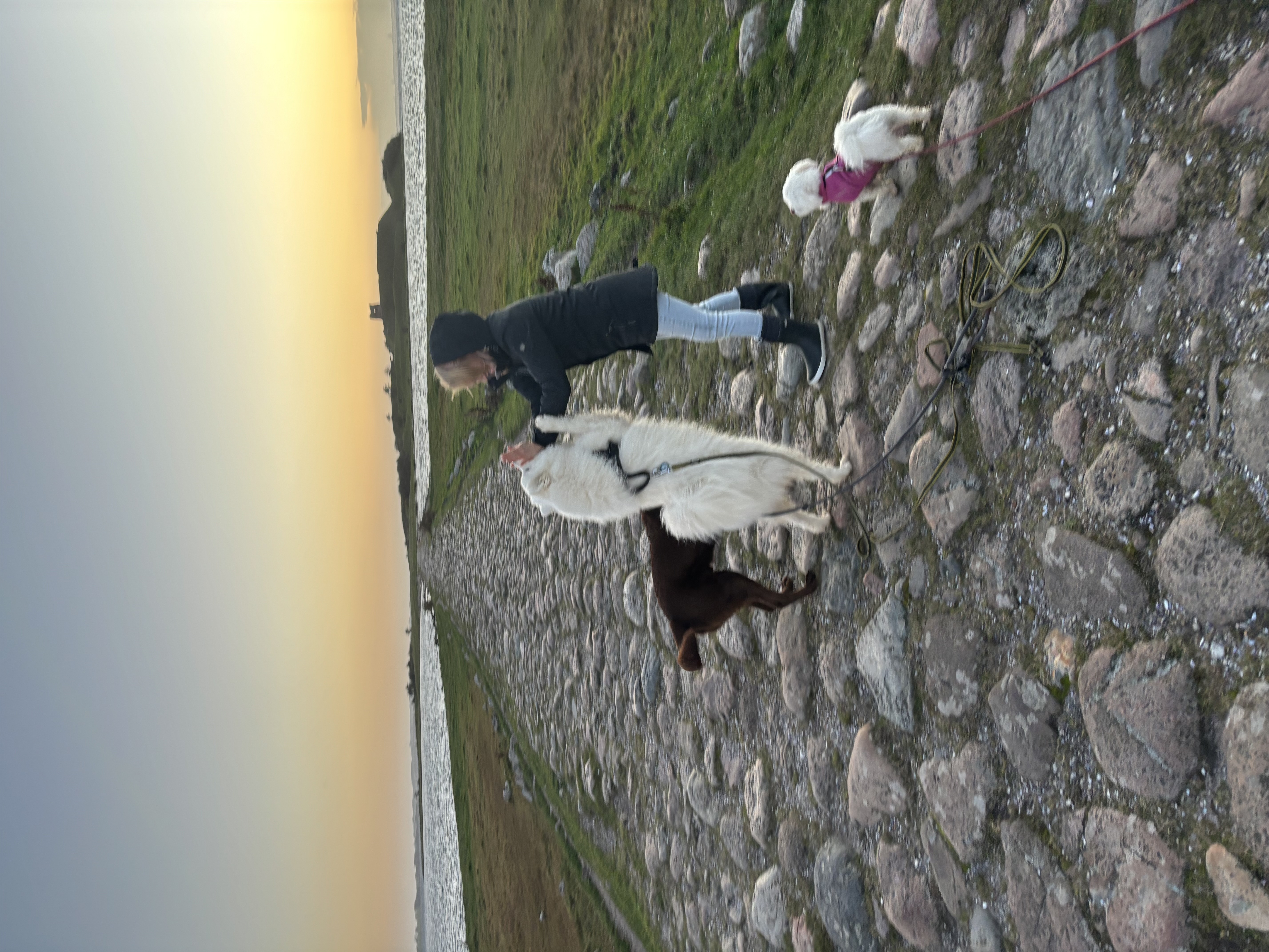 image-7